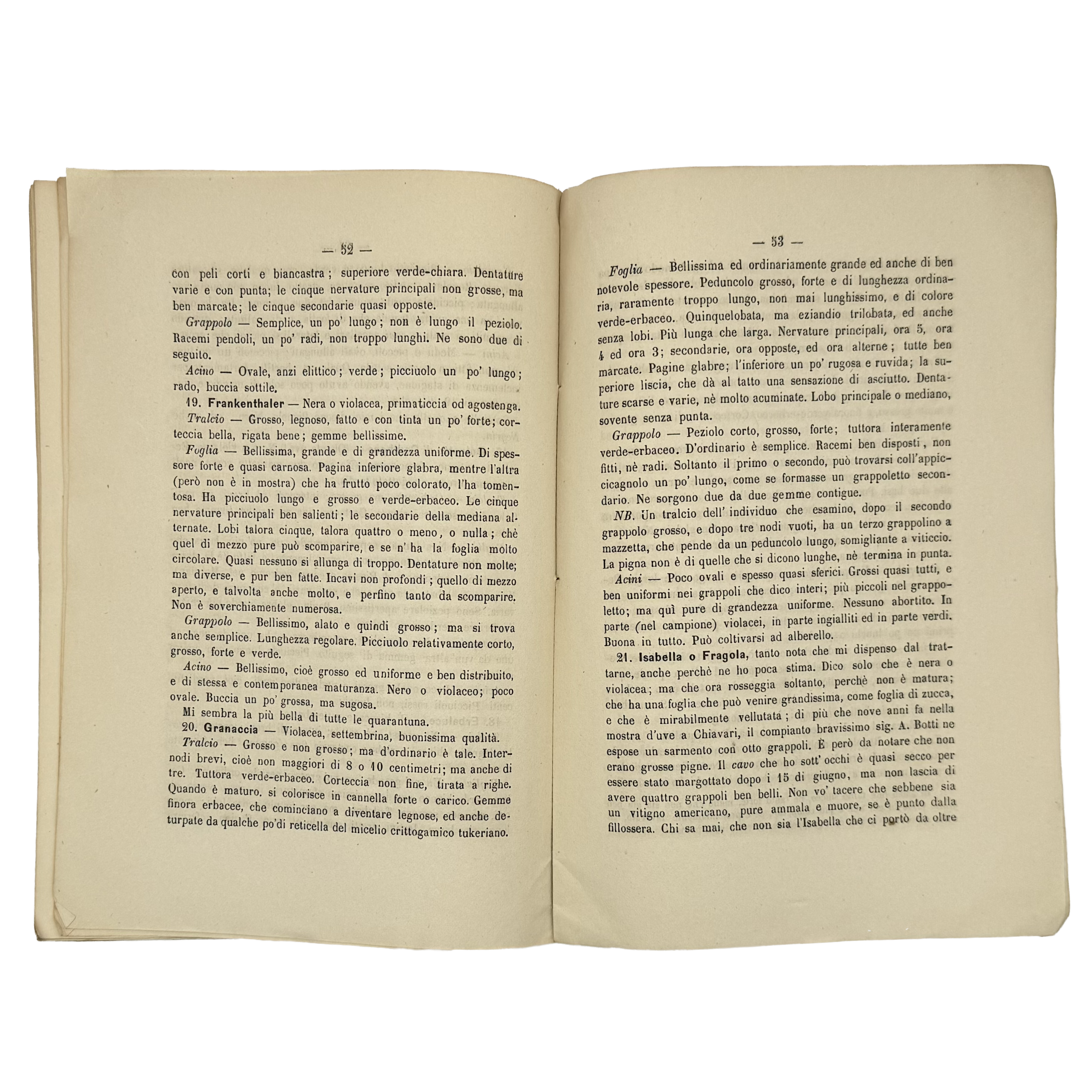 Lettera Ampelografica by Molfino, Gian Maria, a rare sample view of the 1878 - wine book.