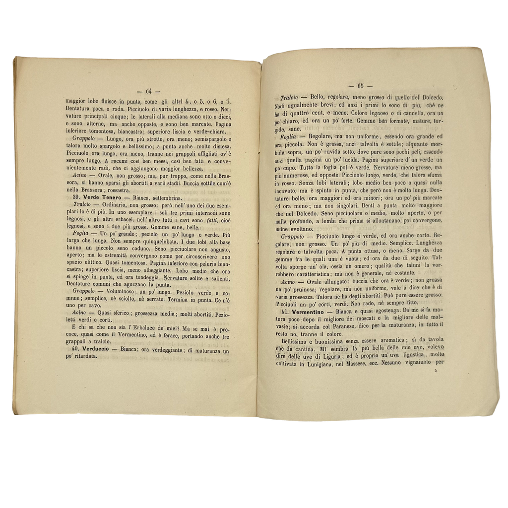 Lettera Ampelografica by Molfino, Gian Maria, a rare feature view of the 1878 - wine book.