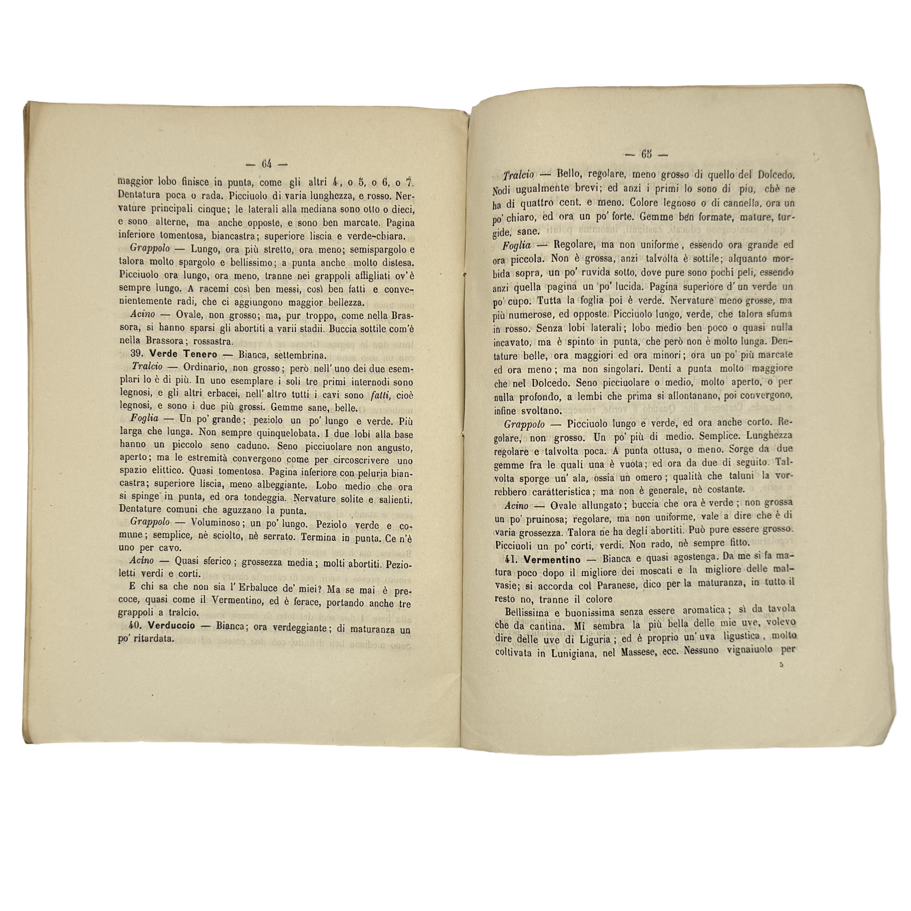 Lettera Ampelografica by Molfino, Gian Maria, a rare feature view of the 1878 - wine book.
