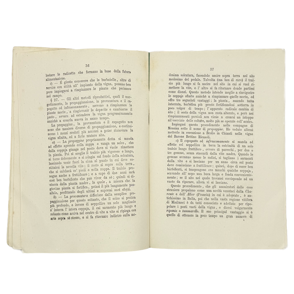 Questioni Urgenti Di Viticoltura by Caruso, Girolamo, a rare captivating detail of the 1871 - wine book.