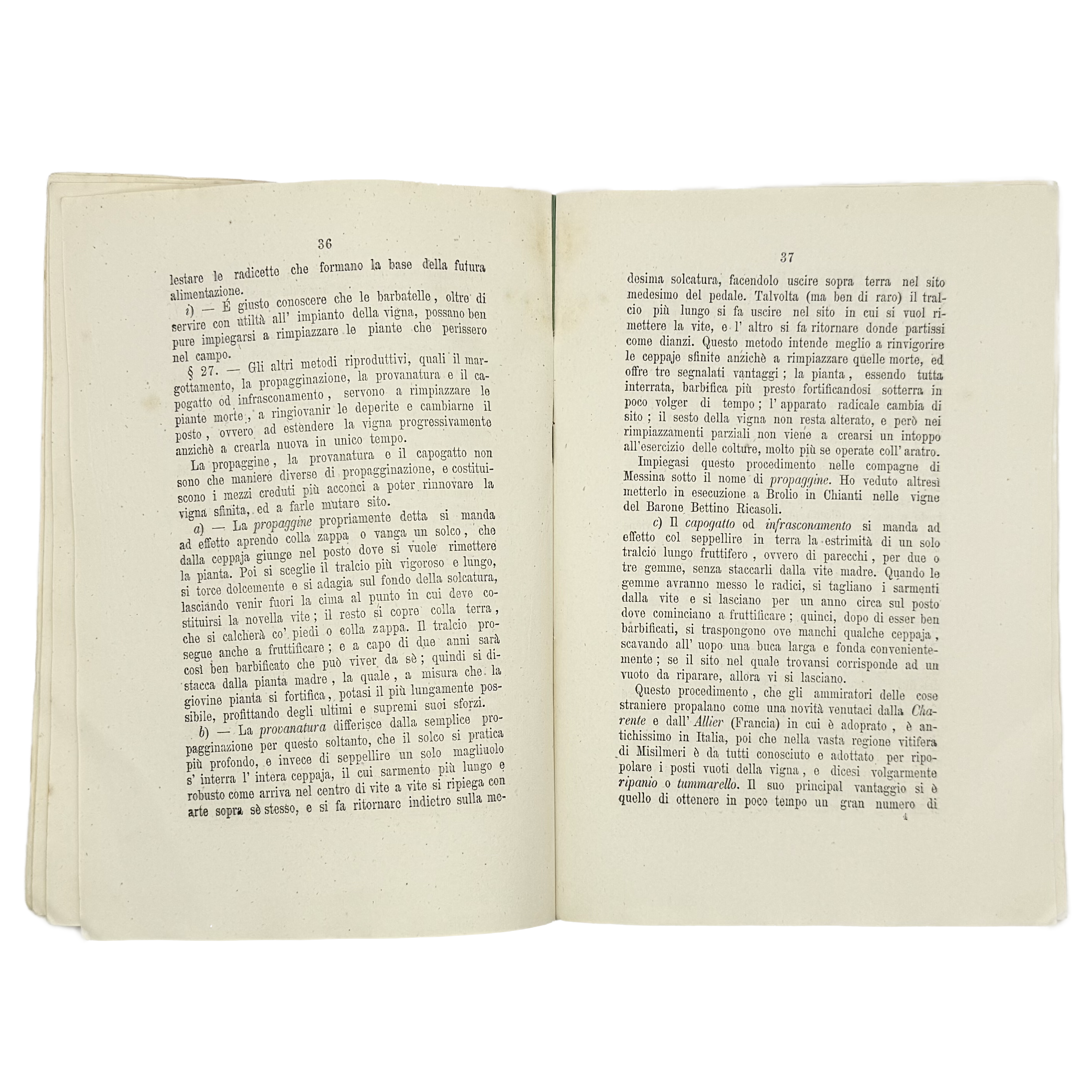 Questioni Urgenti Di Viticoltura by Caruso, Girolamo, a rare captivating detail of the 1871 - wine book.