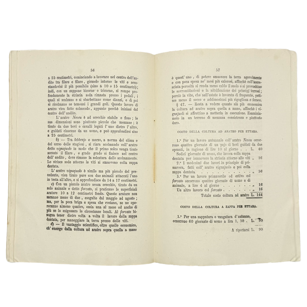 Questioni Urgenti Di Viticoltura by Caruso, Girolamo, a rare highlighted image of the 1871 - wine book.