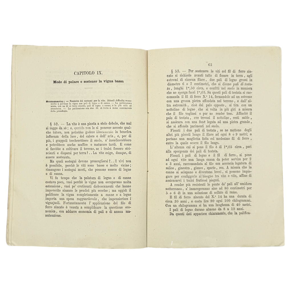Questioni Urgenti Di Viticoltura by Caruso, Girolamo, a rare sample view of the 1871 - wine book.