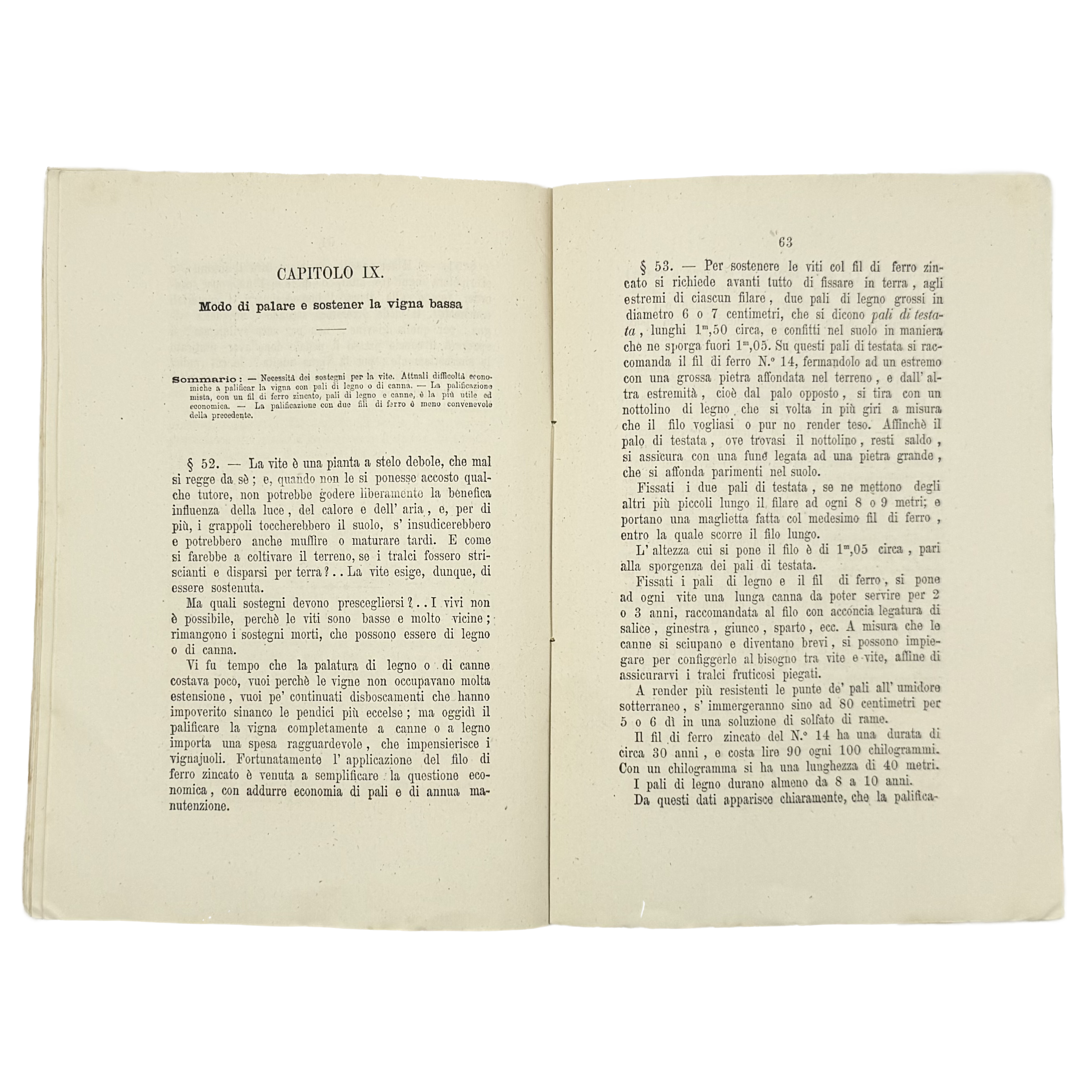 Questioni Urgenti Di Viticoltura by Caruso, Girolamo, a rare sample view of the 1871 - wine book.