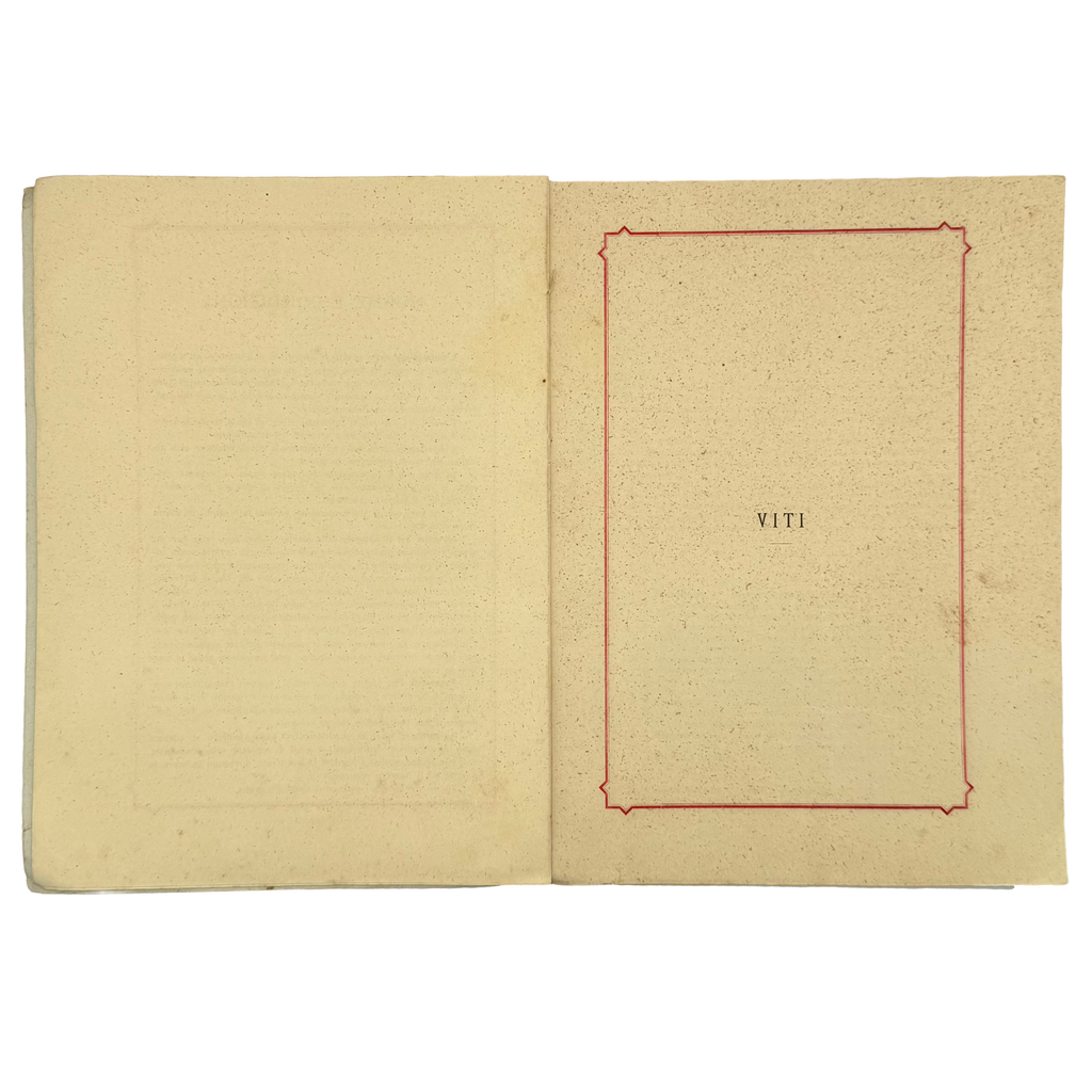 Catalogo Generale Descrittivo by Ditta Farina, a rare highlight from the volume of the 1883 - wine book.