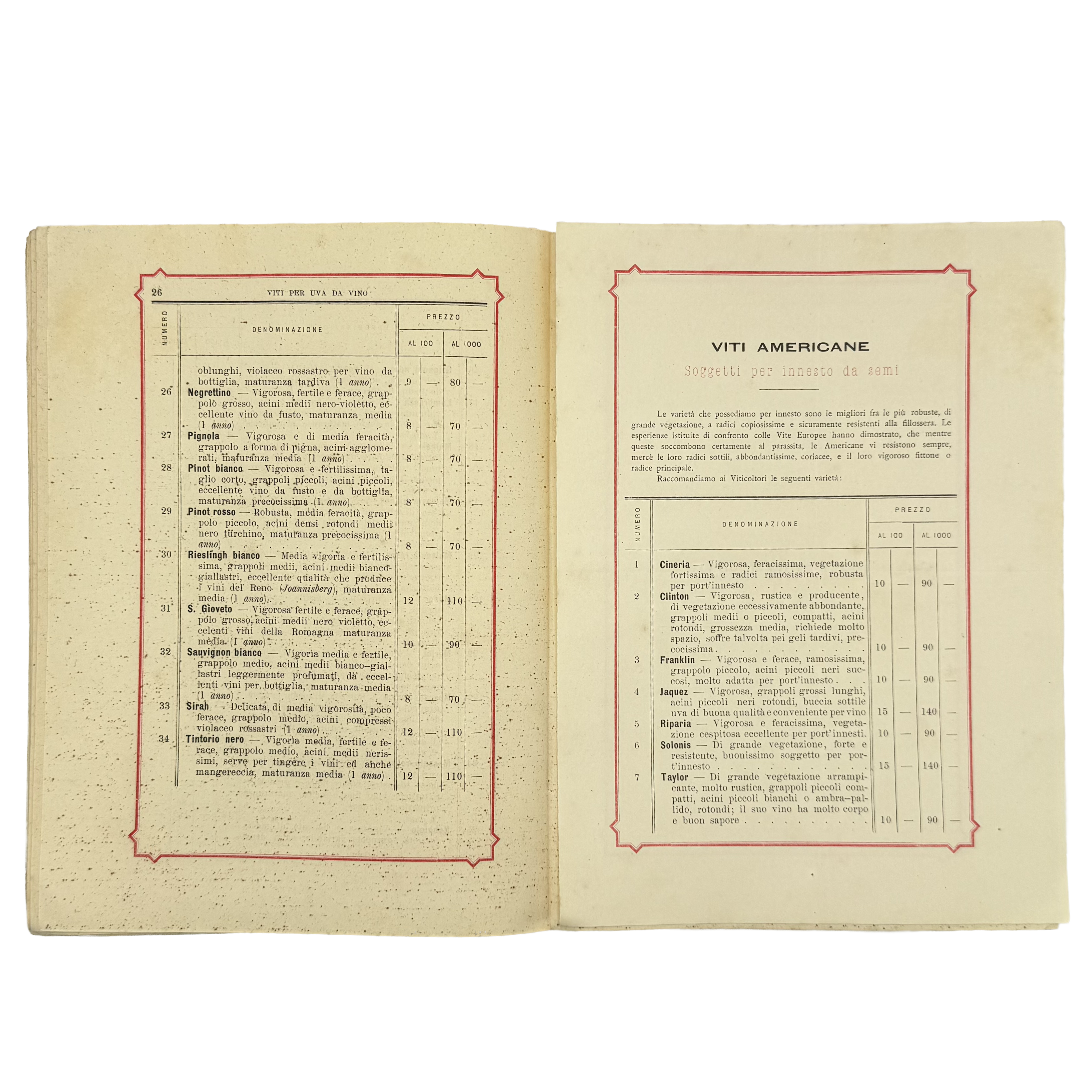 Catalogo Generale Descrittivo by Ditta Farina, a rare representative view of the 1883 - wine book.