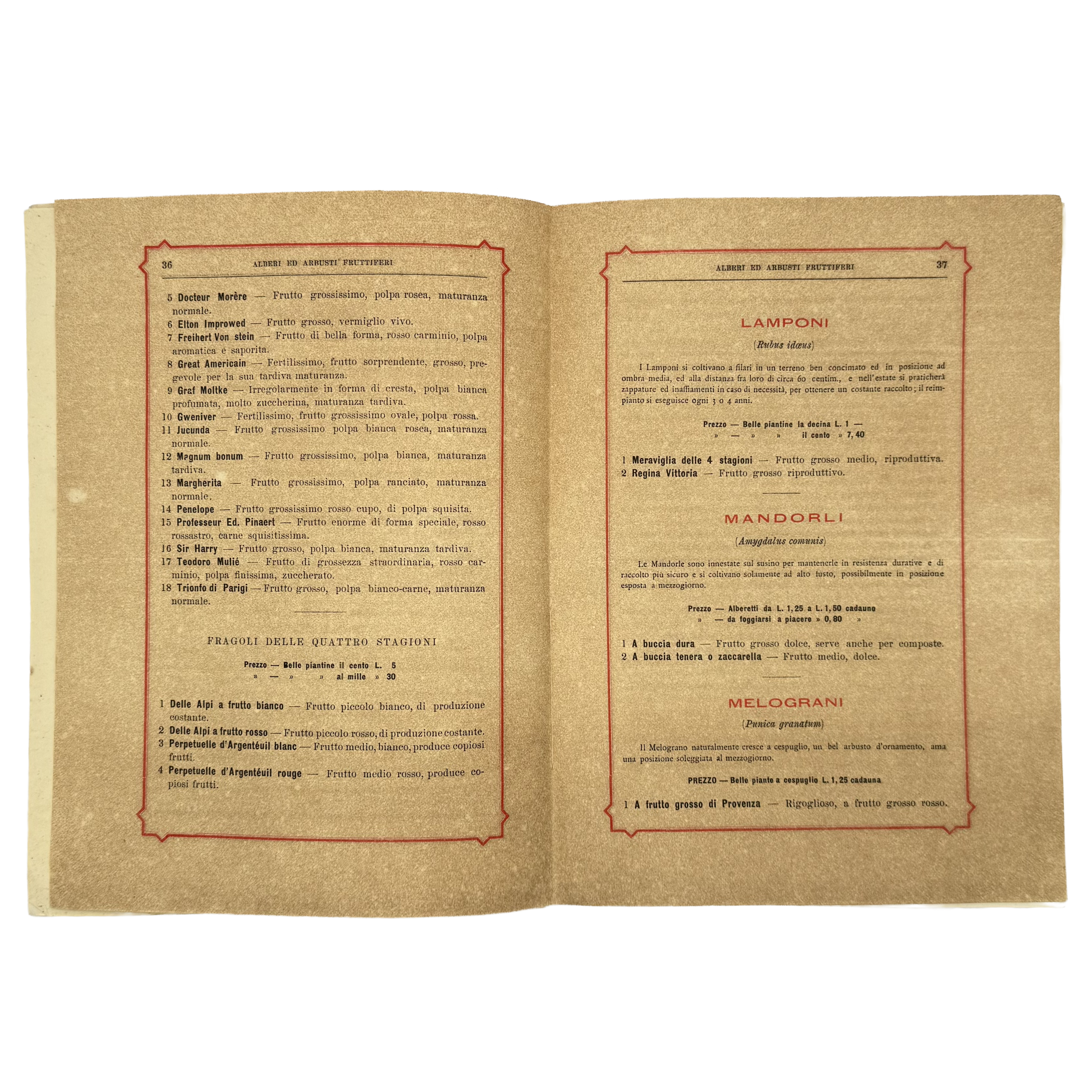 Catalogo Generale Descrittivo by Ditta Farina, a rare example from the work of the 1883 - wine book.