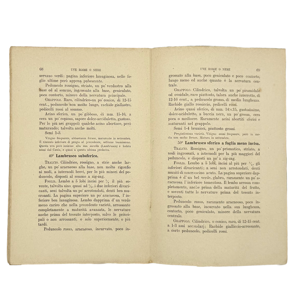 Contributo All'Ampelografia Modenese by Malavasi, Lodovico, a rare example from the work of the 1879 - wine book.