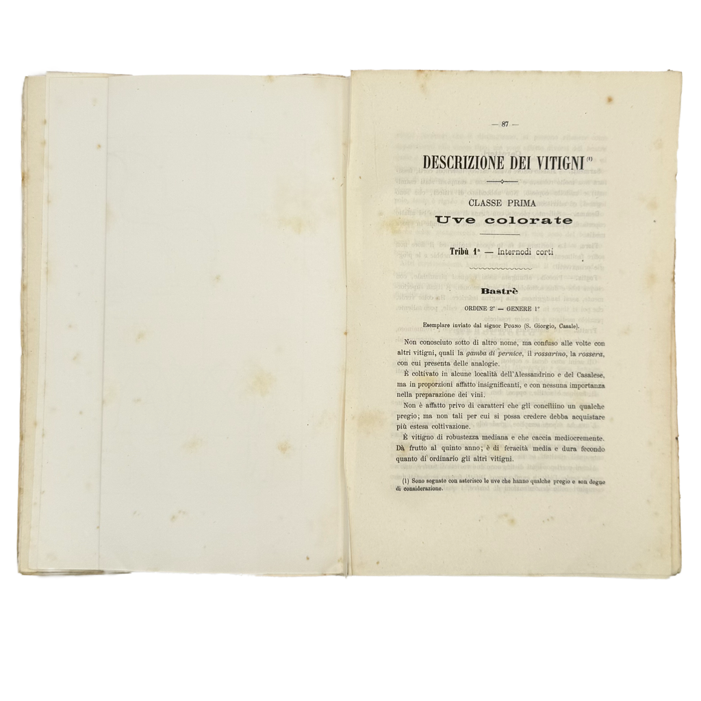 Ampelografia Della Provincia Di Alessandria by De Maria, P.P.; Leardi, C., a rare example image of the 1875 - wine book.