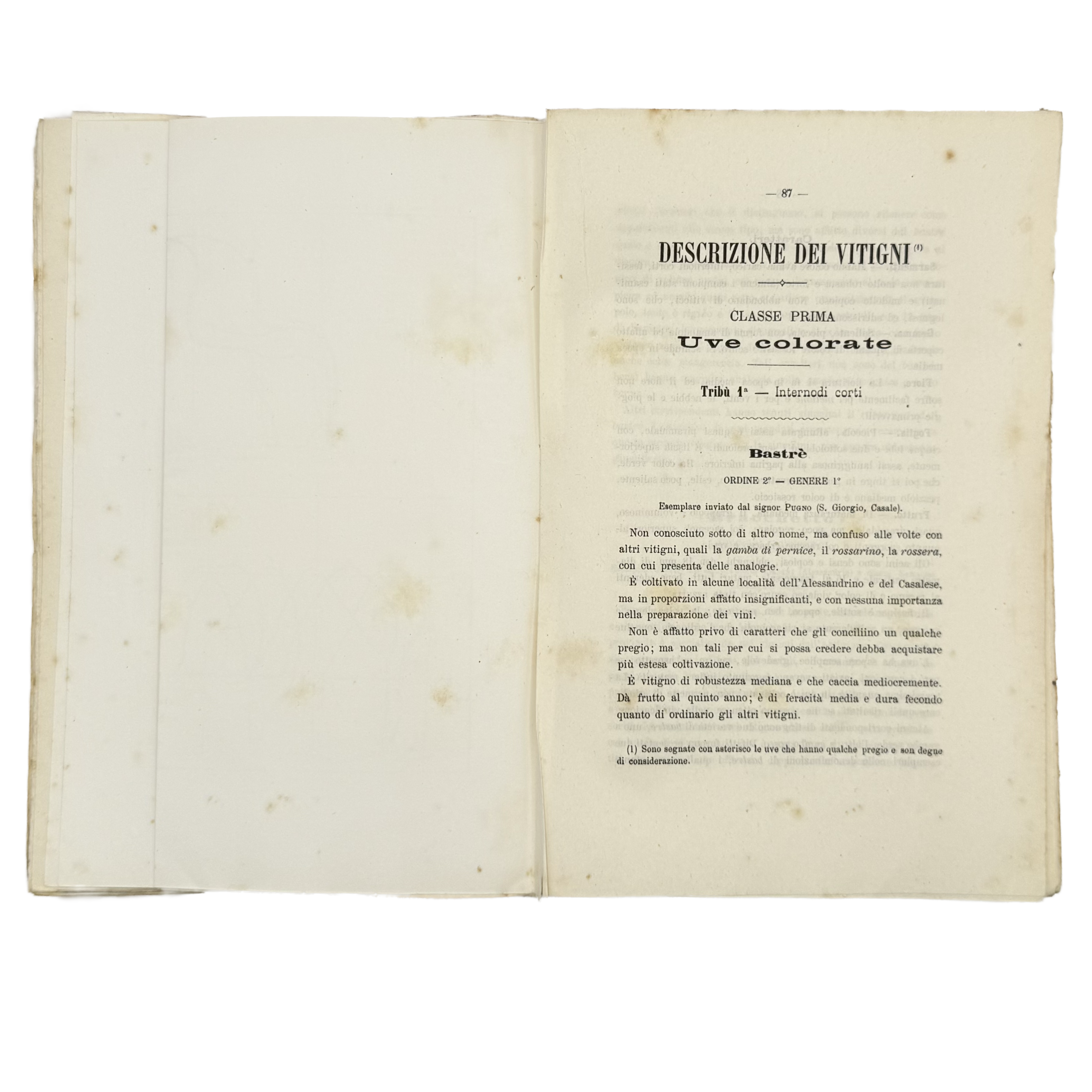 Ampelografia Della Provincia Di Alessandria by De Maria, P.P.; Leardi, C., a rare example image of the 1875 - wine book.