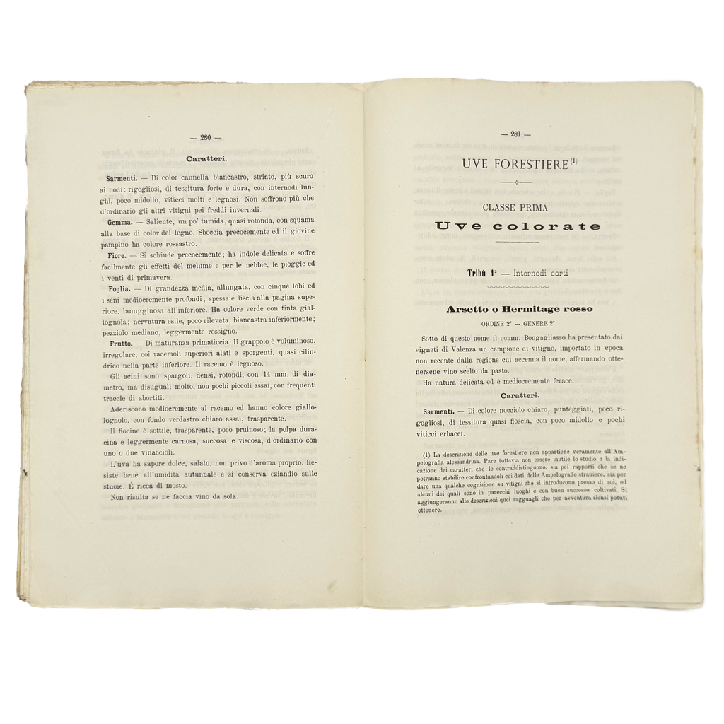 Ampelografia Della Provincia Di Alessandria by De Maria, P.P.; Leardi, C., a rare captivating detail of the 1875 - wine book.