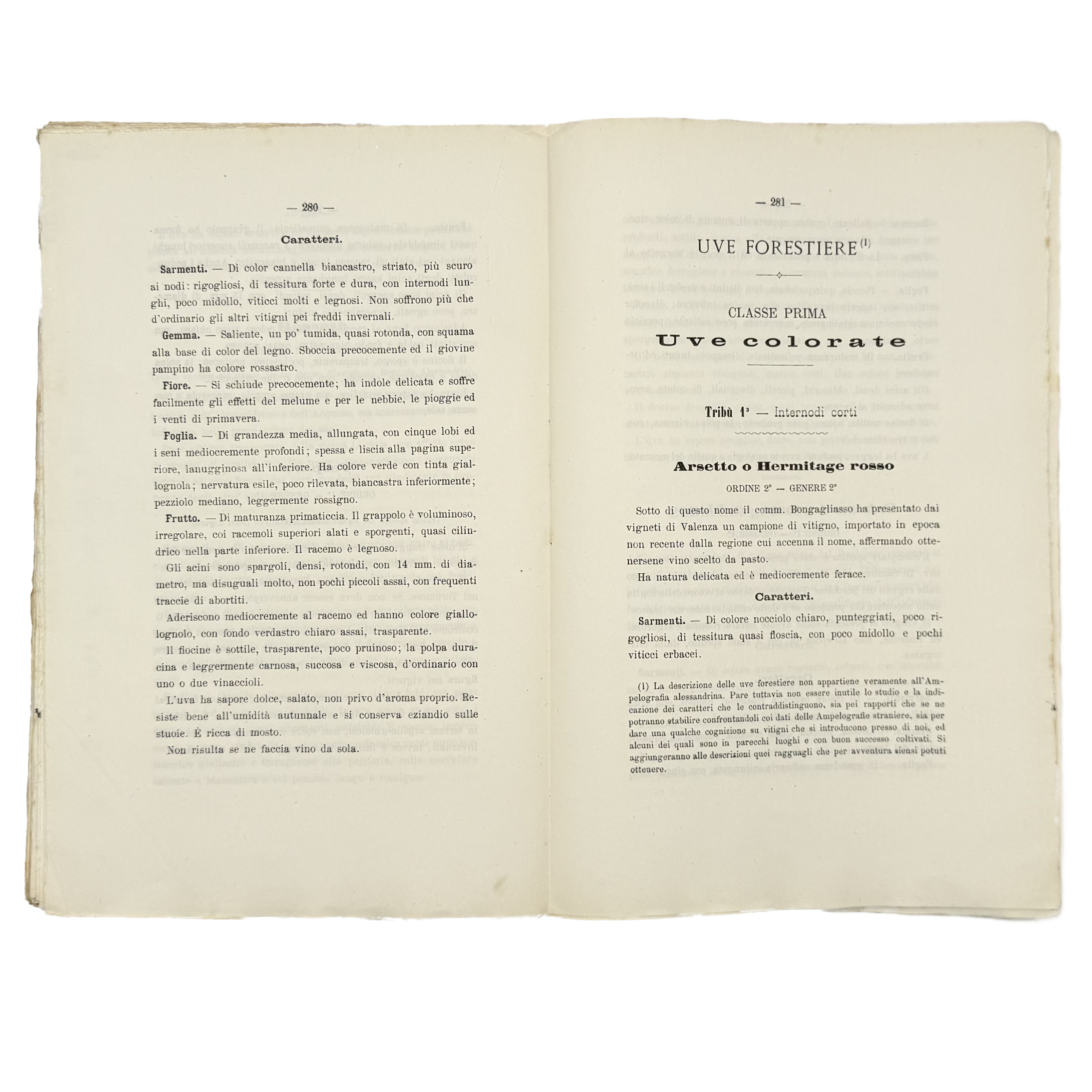 Ampelografia Della Provincia Di Alessandria by De Maria, P.P.; Leardi, C., a rare captivating detail of the 1875 - wine book.