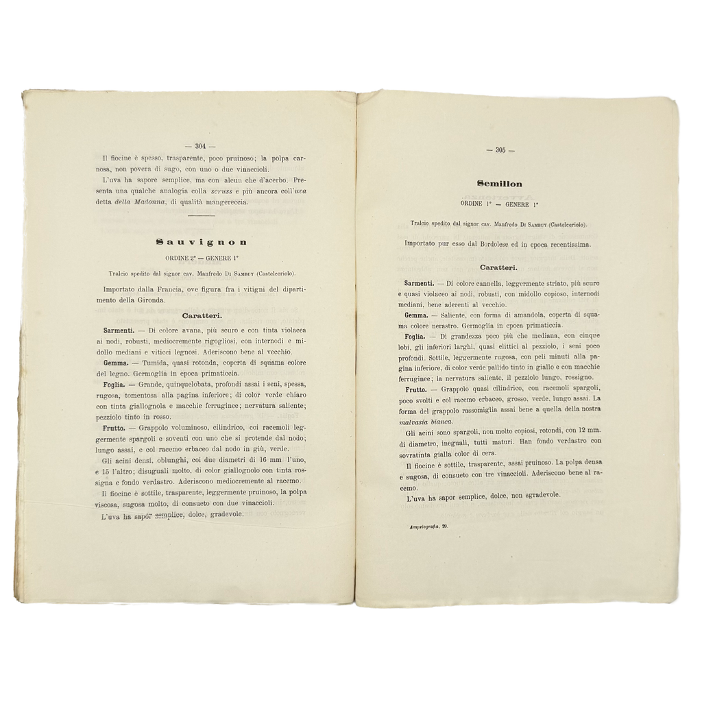 Ampelografia Della Provincia Di Alessandria by De Maria, P.P.; Leardi, C., a rare interesting detail of the 1875 - wine book.