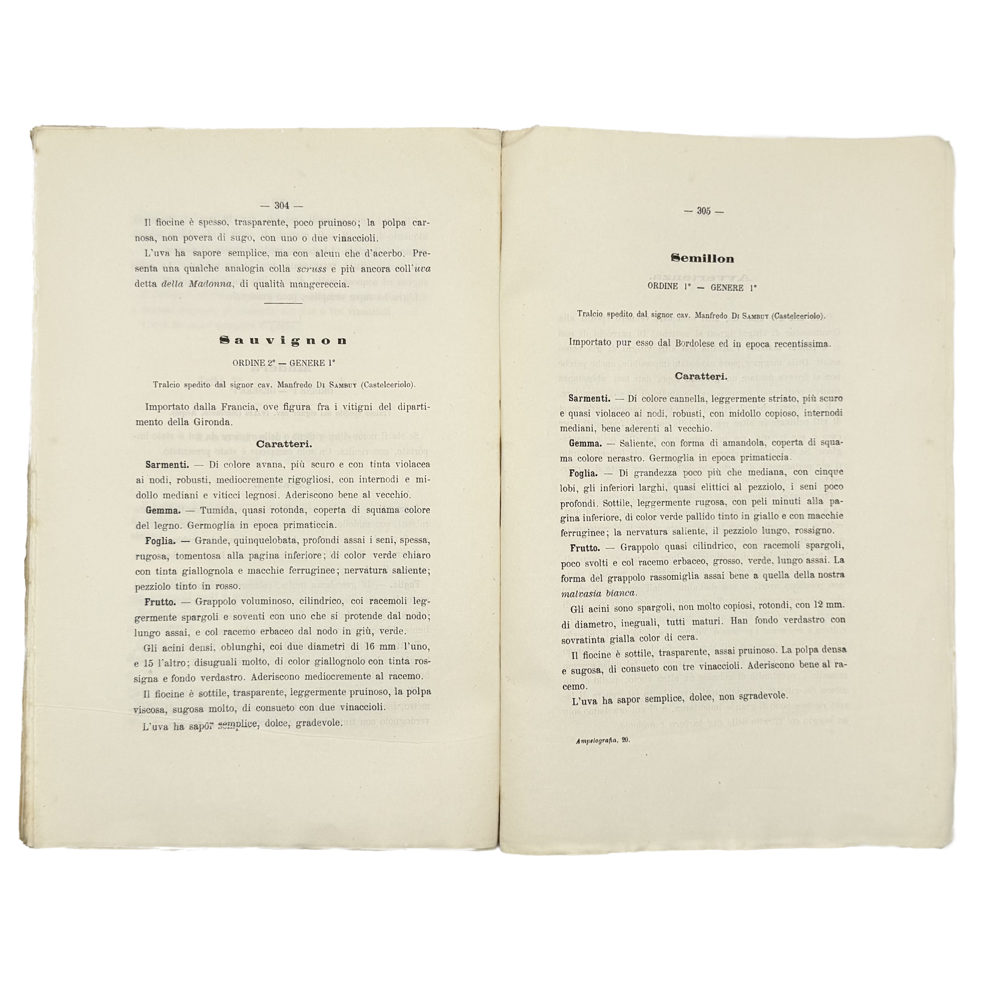 Ampelografia Della Provincia Di Alessandria by De Maria, P.P.; Leardi, C., a rare interesting detail of the 1875 - wine book.