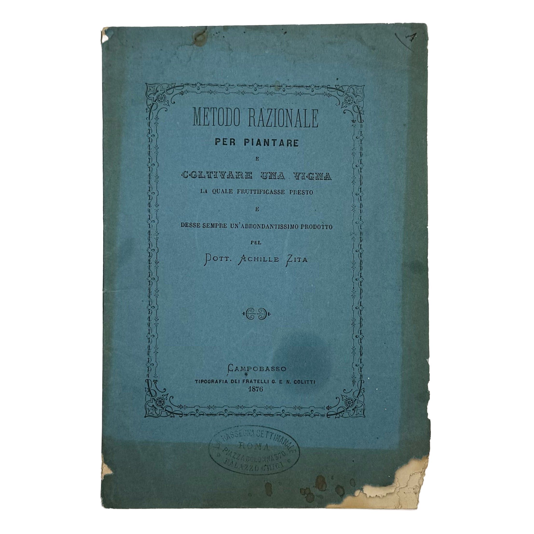 Metodo razionale per piantare una vigna la quale fruttificasse presto by Zita, Achille: a precious visual instance of the 1876 wine & viticulture text
