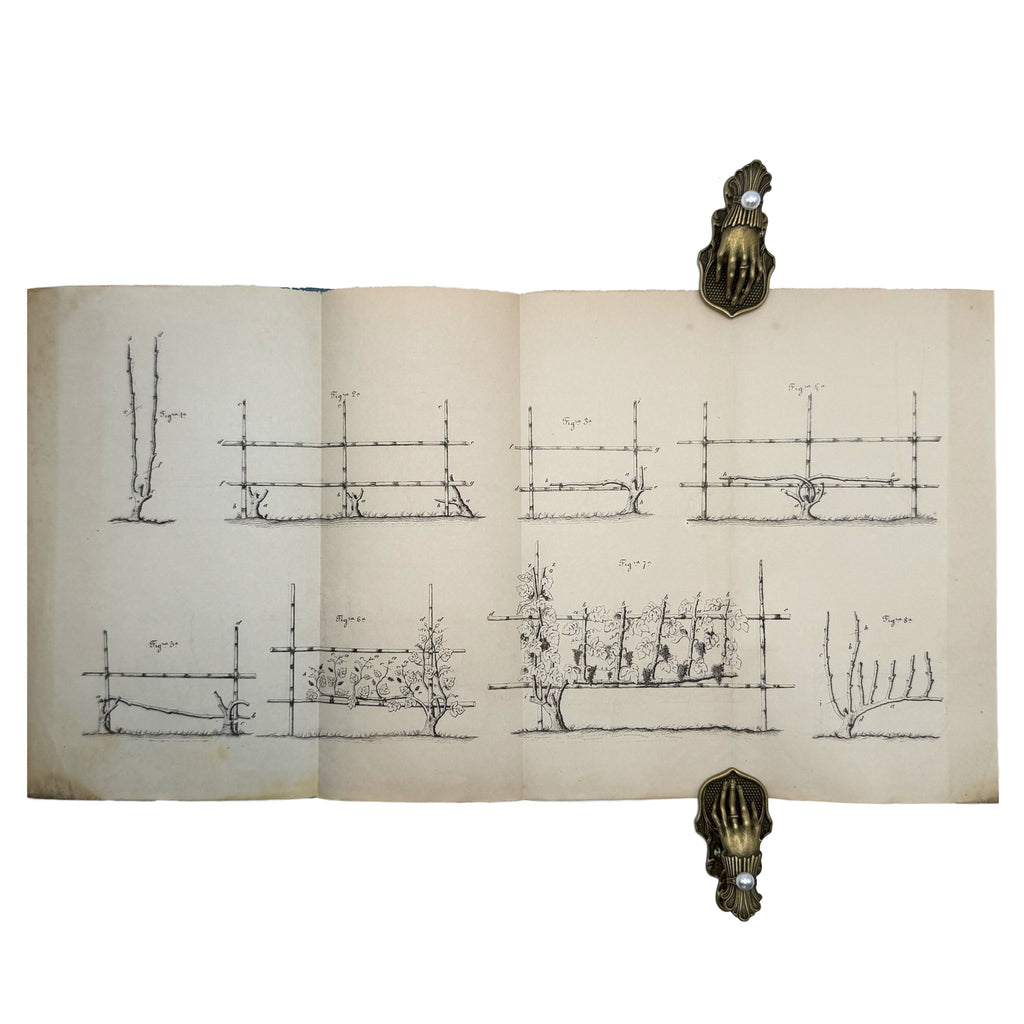 Metodo razionale per piantare una vigna la quale fruttificasse presto by Zita, Achille: a noteworthy detail captured from the 1876 wine & viticulture printed work