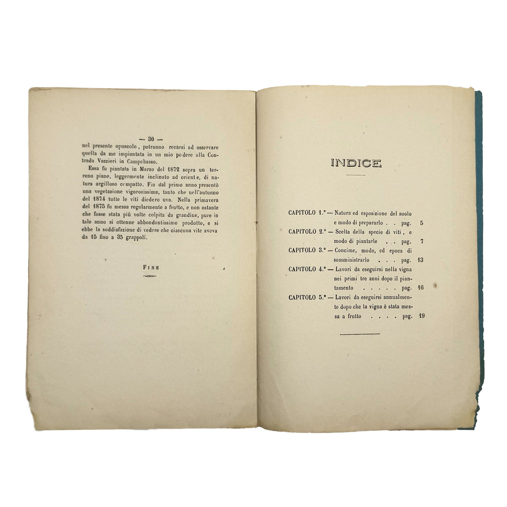 Metodo razionale per piantare una vigna la quale fruttificasse presto by Zita, Achille: a selected plate showing the 1876 wine & viticulture edition