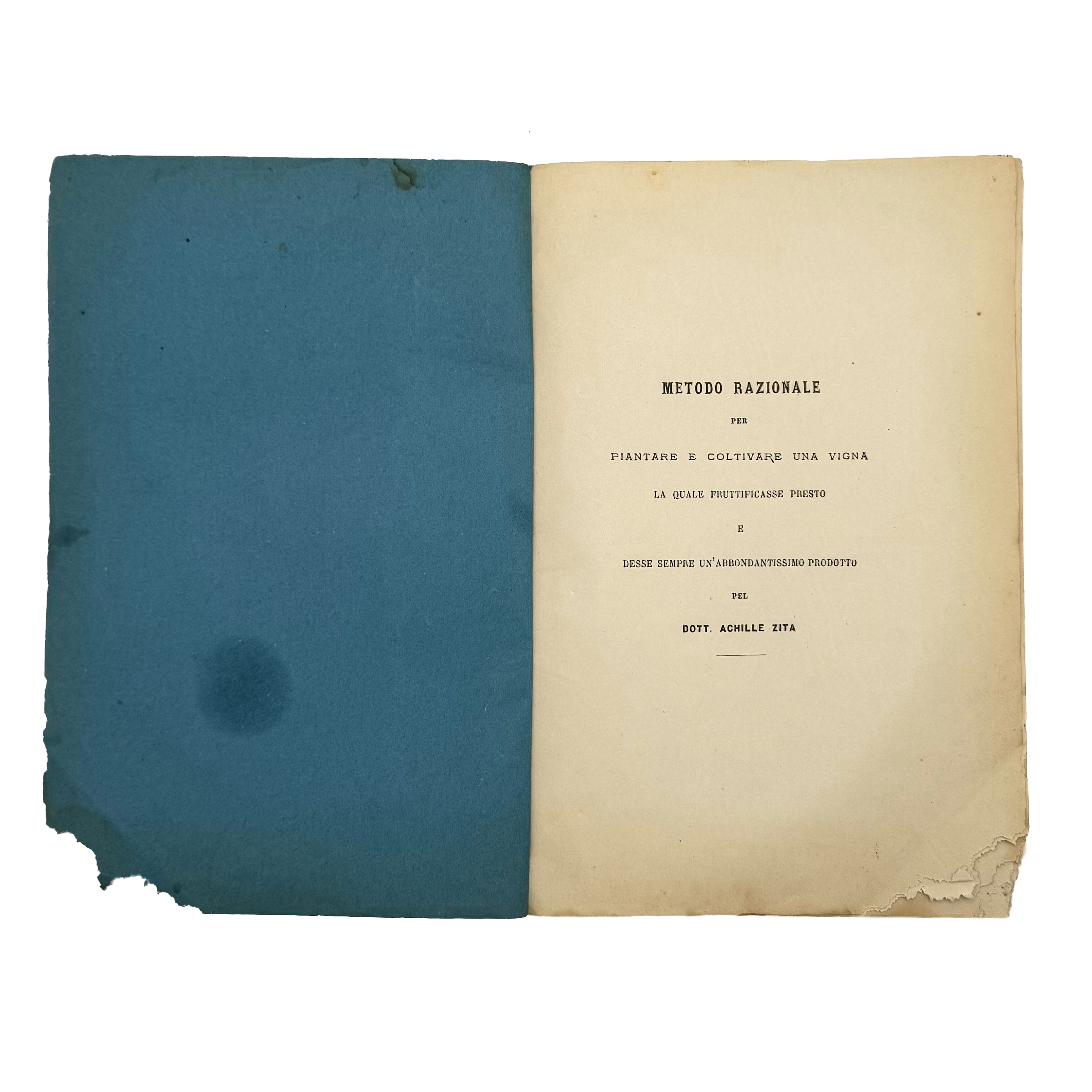 Metodo razionale per piantare una vigna la quale fruttificasse presto by Zita, Achille: a delicate visual nuance of the 1876 wine & viticulture volume
