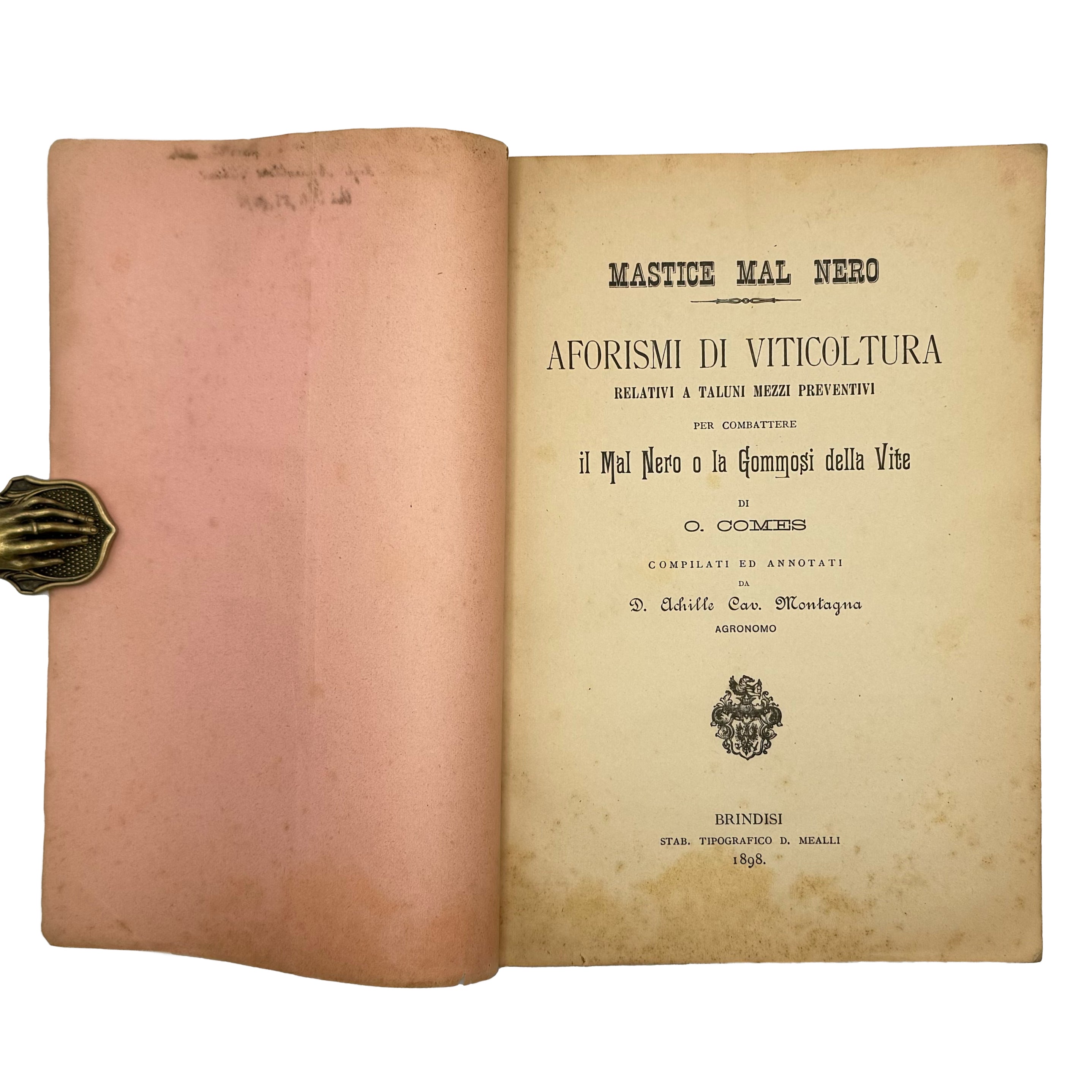 Mastice mal nero by Montagna, Achille: a scarce illustrative detail of the 1898 wine & viticulture publication