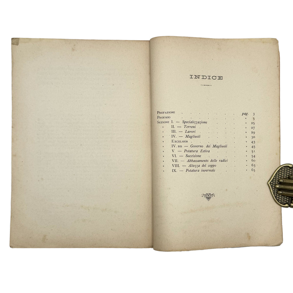 Mastice mal nero by Montagna, Achille: a scarce illustrative detail of the 1898 wine & viticulture treatise