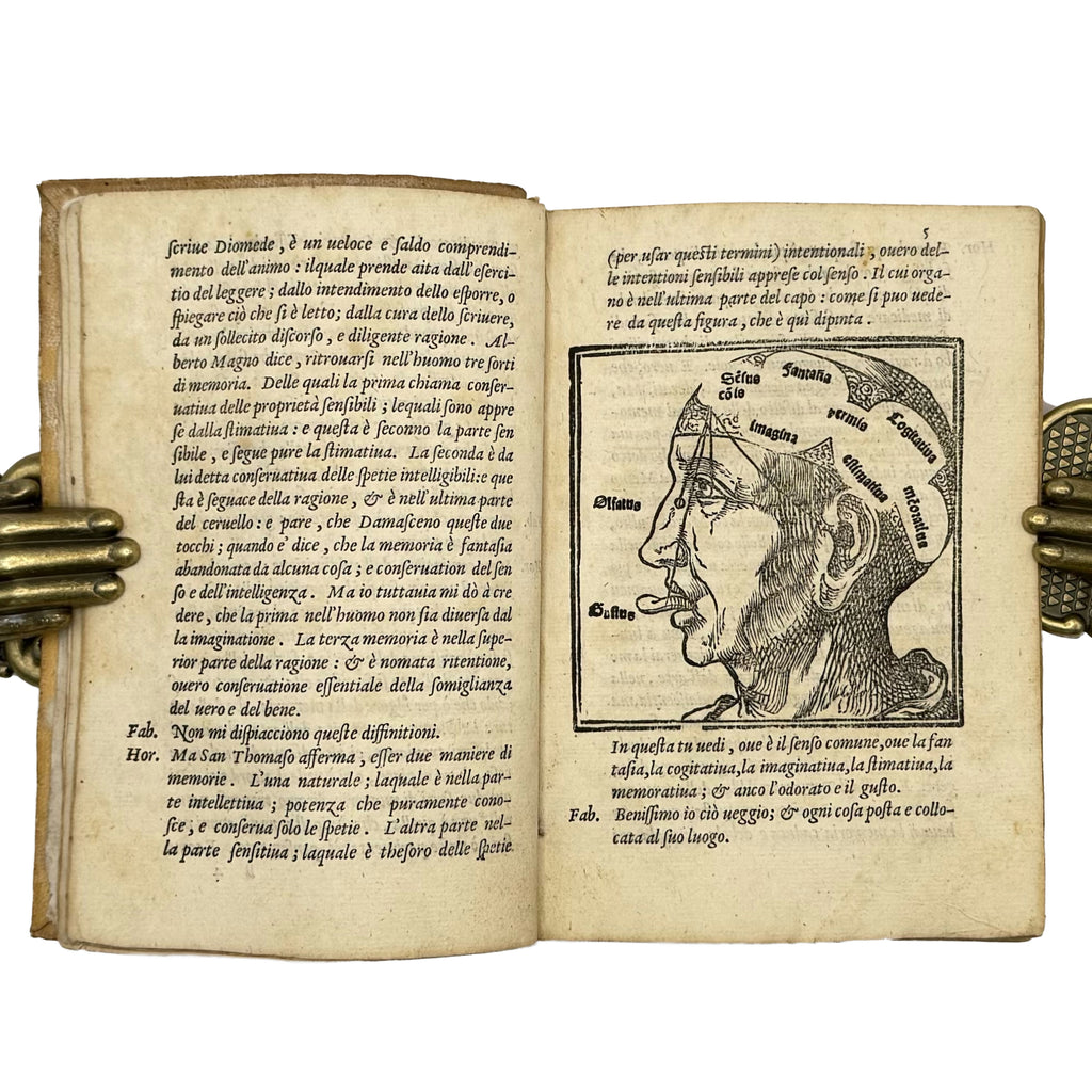 Dialogo (..) nel quale si ragiona del modo di accrescere e conservar la memoria by Dolce, Lodovico: a remarkable illustrative passage from the 1562 classics work