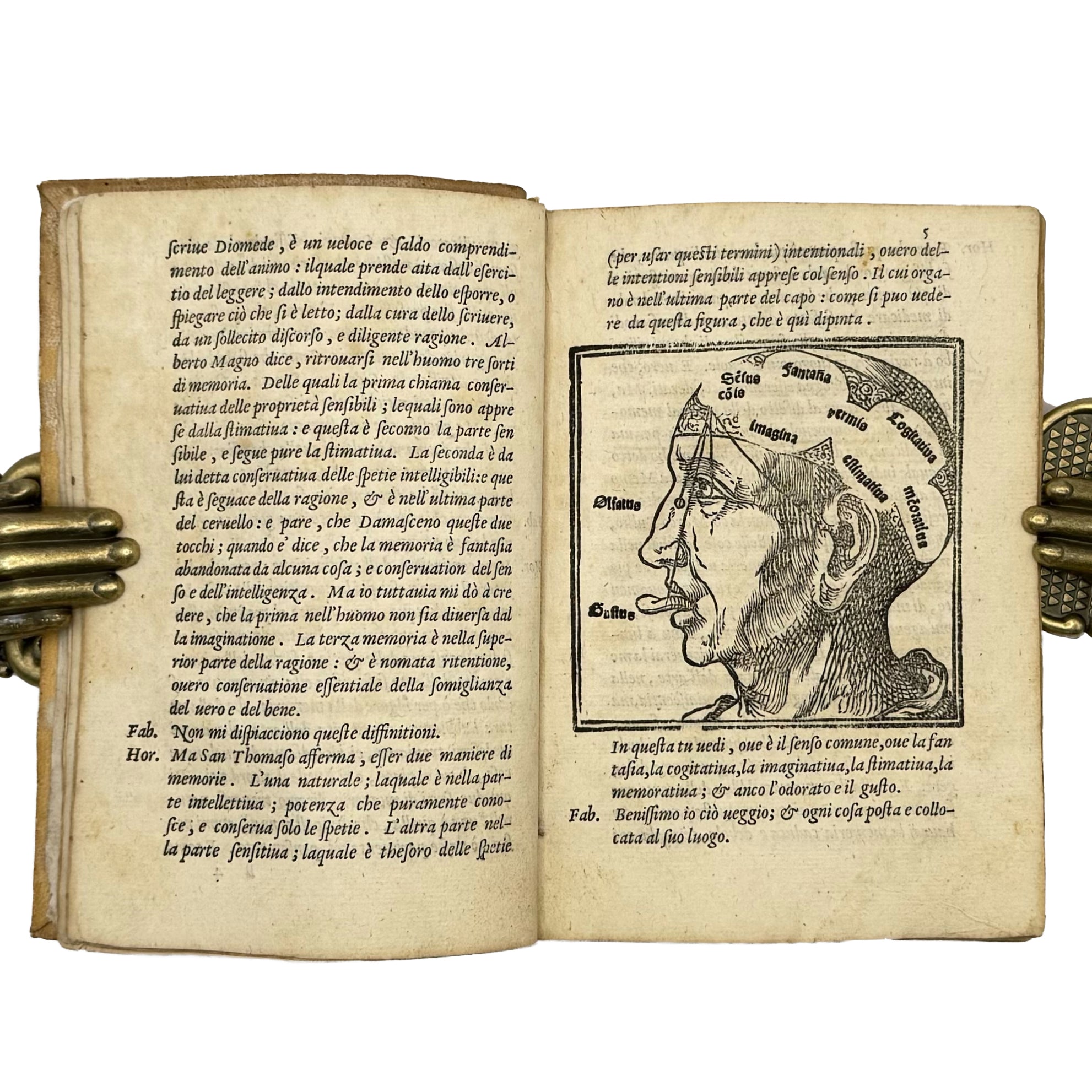 Dialogo (..) nel quale si ragiona del modo di accrescere e conservar la memoria by Dolce, Lodovico: a remarkable illustrative passage from the 1562 classics work