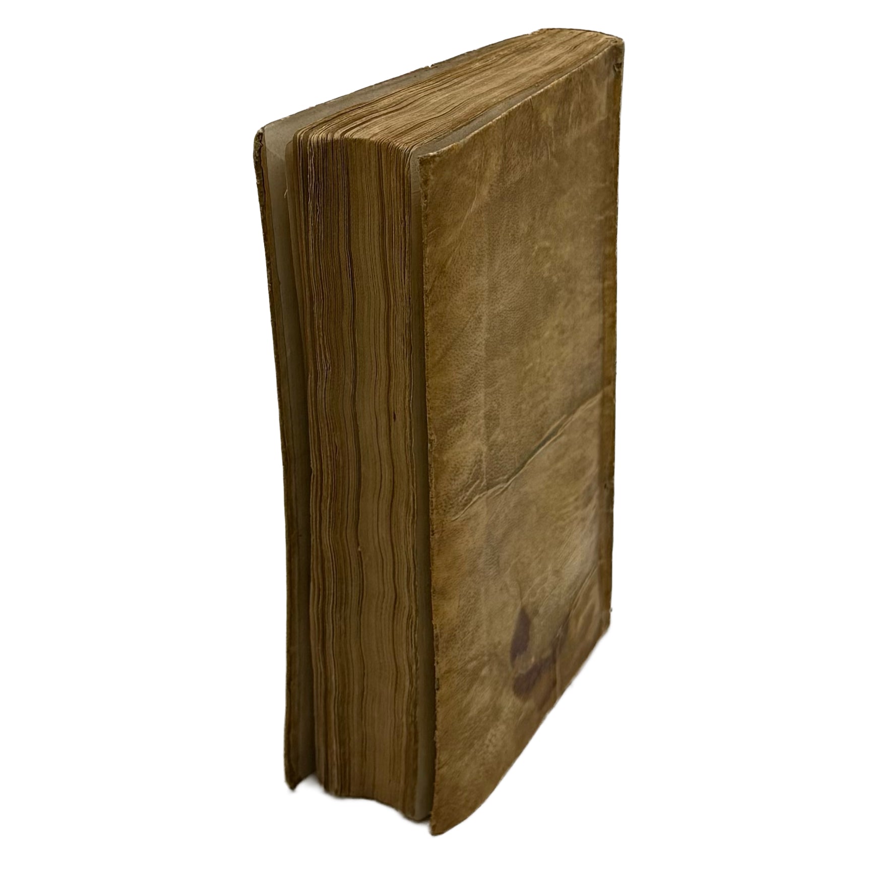 Traicté du Tabac, ou Nicotiane, panacée, pétun: Autrement Herbe à la Reyne by Neander, Johann: a delicate visual nuance of the 1626 gastronomy & pleasures treatise