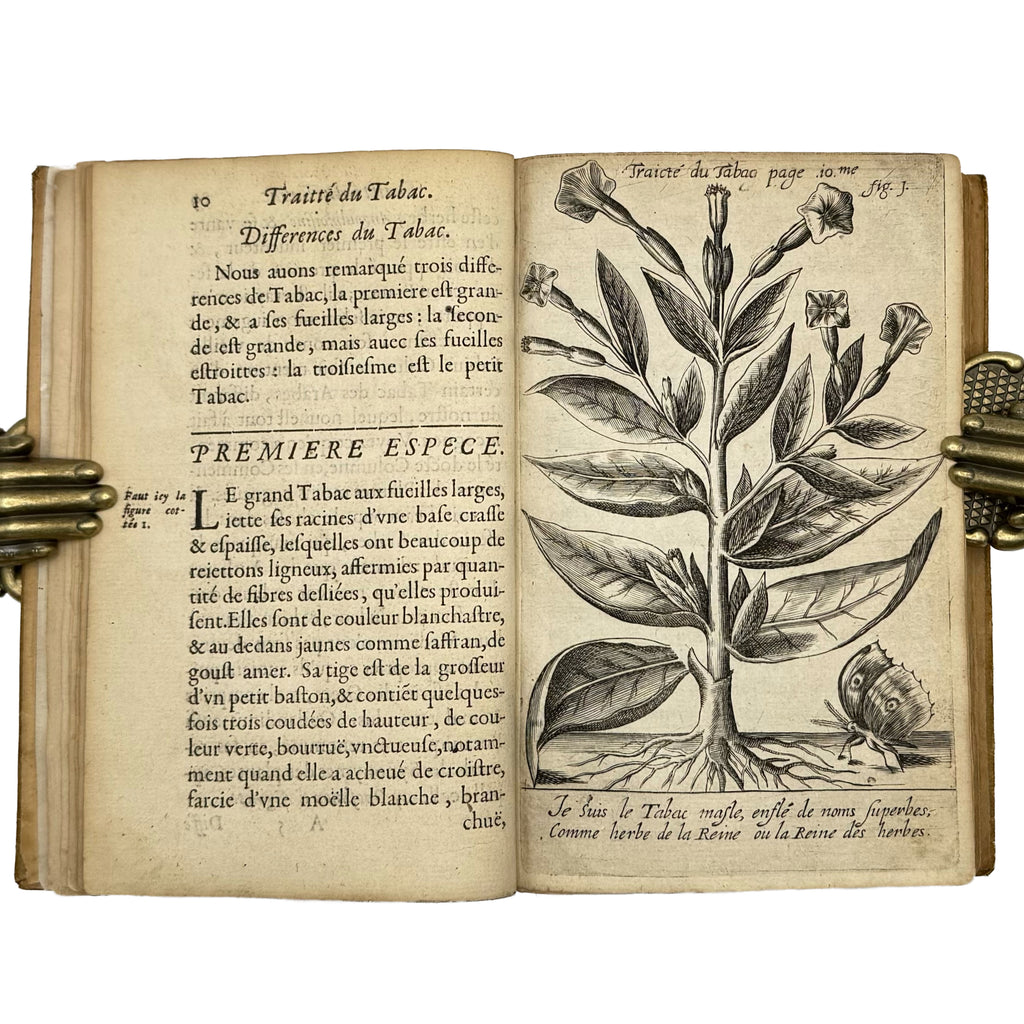 Traicté du Tabac, ou Nicotiane, panacée, pétun: Autrement Herbe à la Reyne by Neander, Johann: a finely preserved portion of the 1626 gastronomy & pleasures copy
