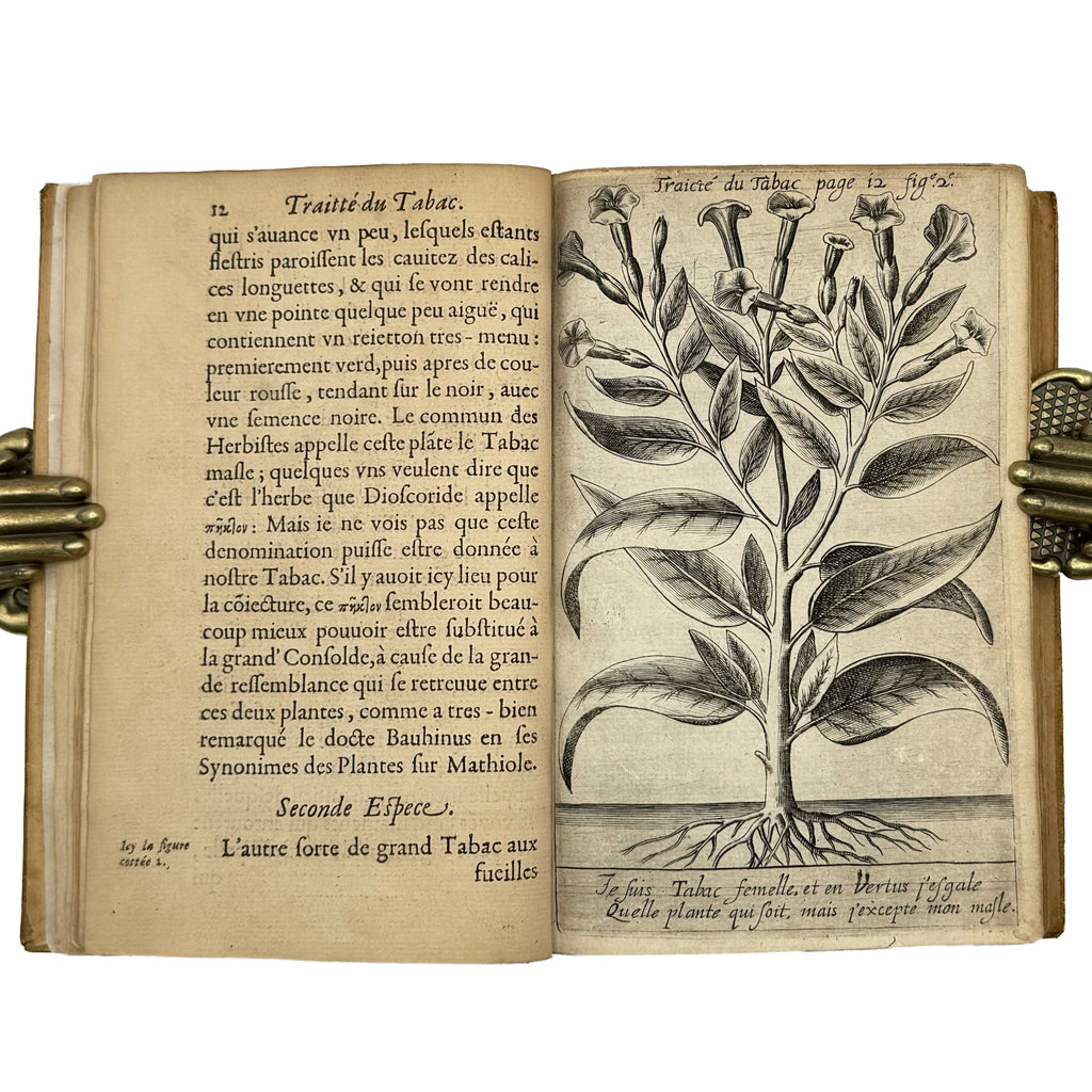 Traicté du Tabac, ou Nicotiane, panacée, pétun: Autrement Herbe à la Reyne by Neander, Johann: an uncommon representative view of the 1626 gastronomy & pleasures edition