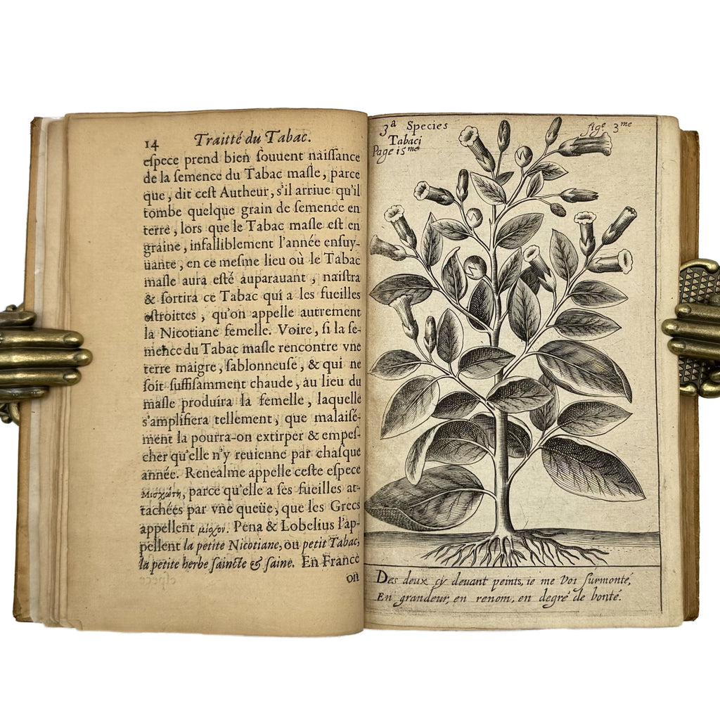 Traicté du Tabac, ou Nicotiane, panacée, pétun: Autrement Herbe à la Reyne by Neander, Johann: an exceptional example from the 1626 gastronomy & pleasures treatise