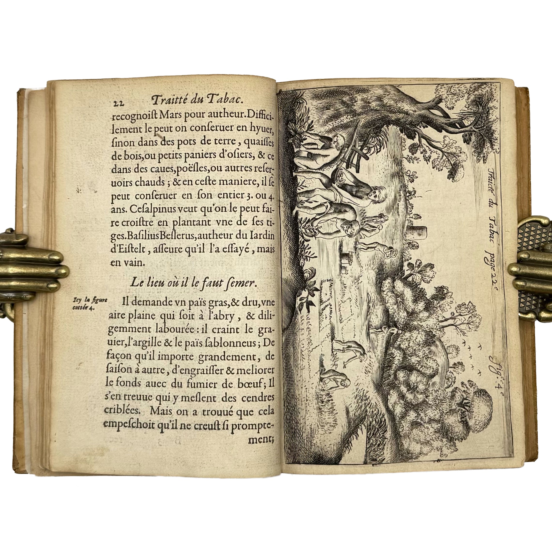 Traicté du Tabac, ou Nicotiane, panacée, pétun: Autrement Herbe à la Reyne by Neander, Johann: a selected plate showing the 1626 gastronomy & pleasures volume