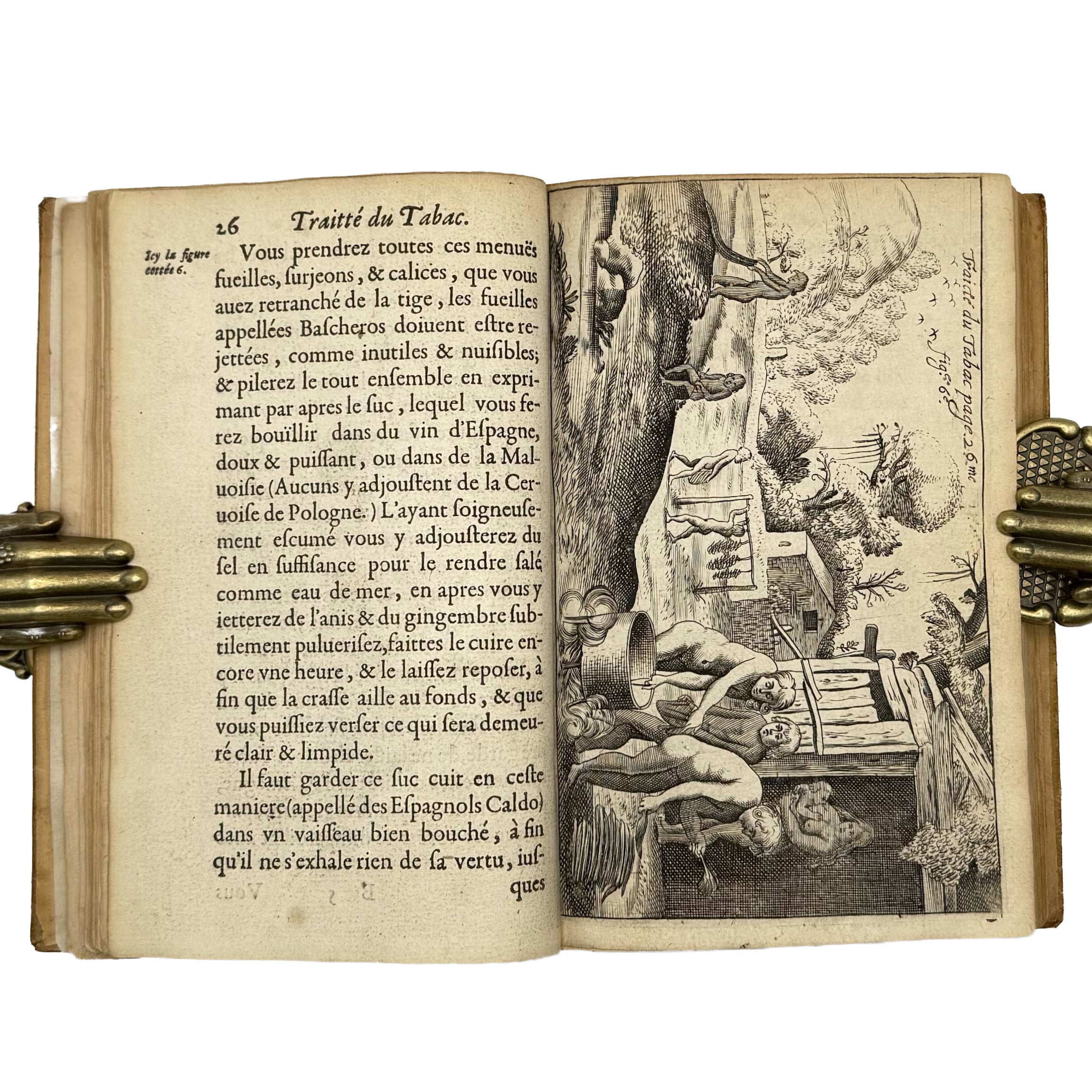 Traicté du Tabac, ou Nicotiane, panacée, pétun: Autrement Herbe à la Reyne by Neander, Johann: a distinctive element from the 1626 gastronomy & pleasures printed work