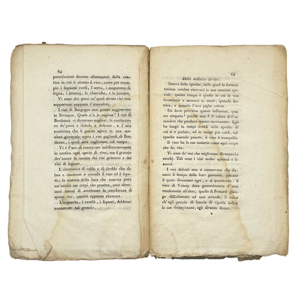 Istruzione su l'arte di fare il vino by Cadet De Vaux, Antoine Alexis: a singularly preserved detail from the 1800 wine & viticulture work