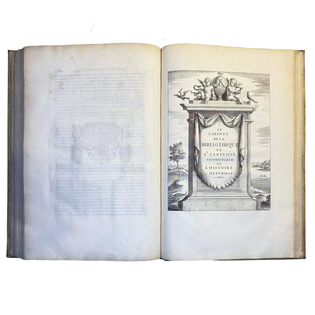 Le Cabinet de la Bibliotheque de Sainte Genevieve by Du Molinet, Claude: a scarce illustrative detail of the 1692 illustrated & decorative edition