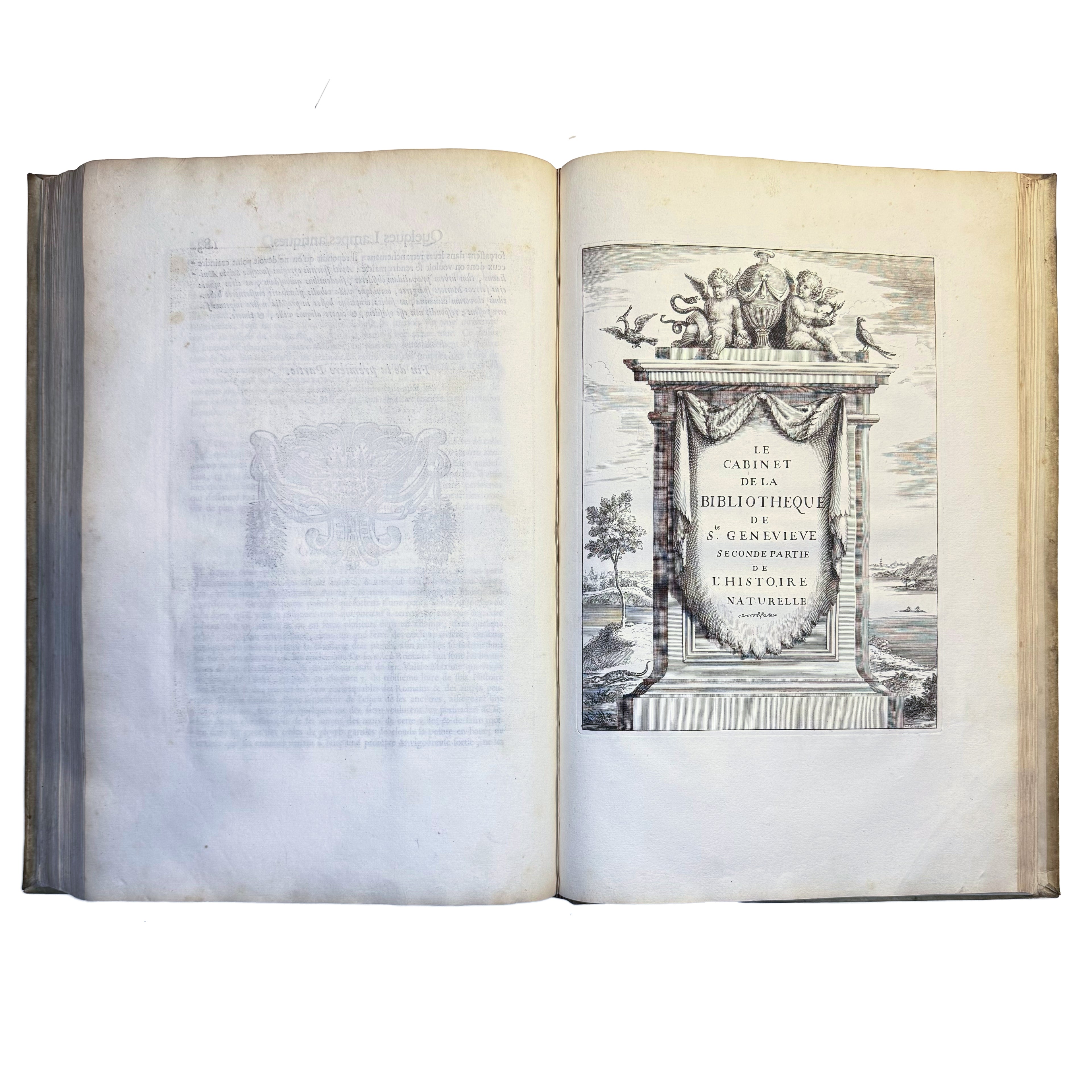 Le Cabinet de la Bibliotheque de Sainte Genevieve by Du Molinet, Claude: a scarce illustrative detail of the 1692 illustrated & decorative edition