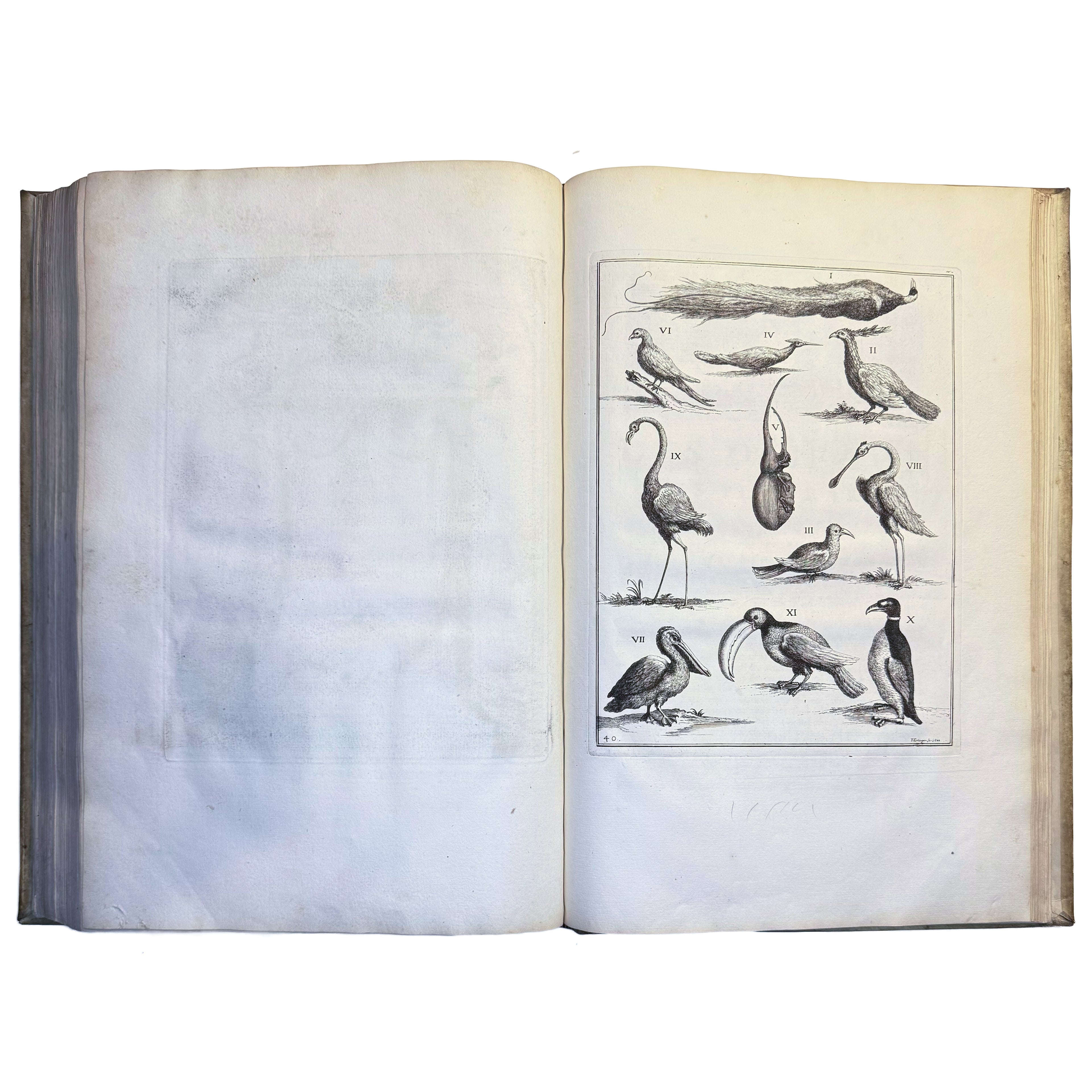 Le Cabinet de la Bibliotheque de Sainte Genevieve by Du Molinet, Claude: a finely preserved portion of the 1692 illustrated & decorative work