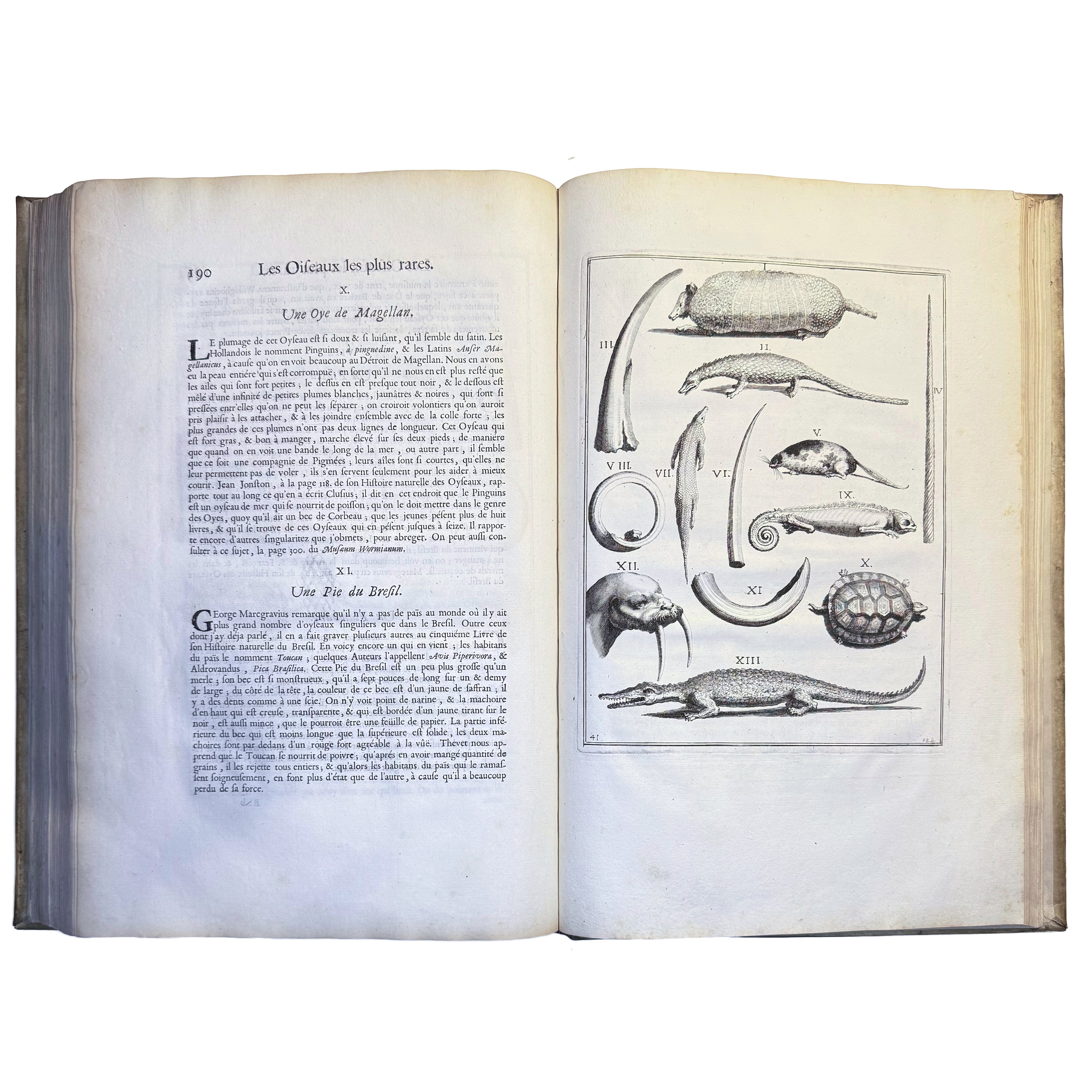 Le Cabinet de la Bibliotheque de Sainte Genevieve by Du Molinet, Claude: a distinctive element from the 1692 illustrated & decorative treatise