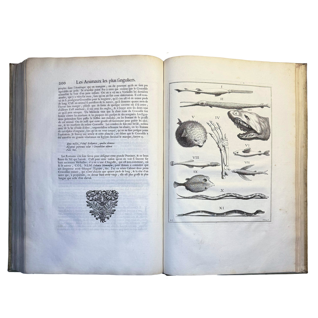 Le Cabinet de la Bibliotheque de Sainte Genevieve by Du Molinet, Claude: a finely preserved portion of the 1692 illustrated & decorative piece