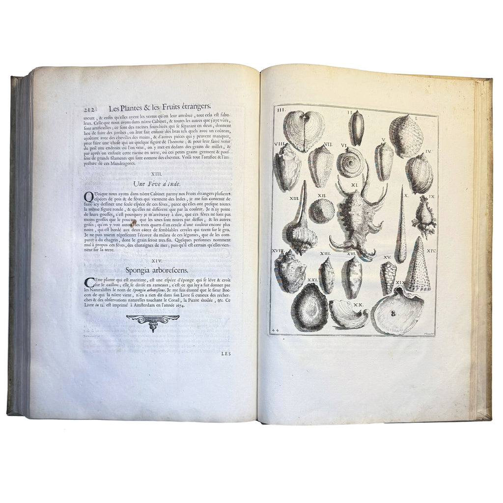 Le Cabinet de la Bibliotheque de Sainte Genevieve by Du Molinet, Claude: a rare surviving image of the 1692 illustrated & decorative piece