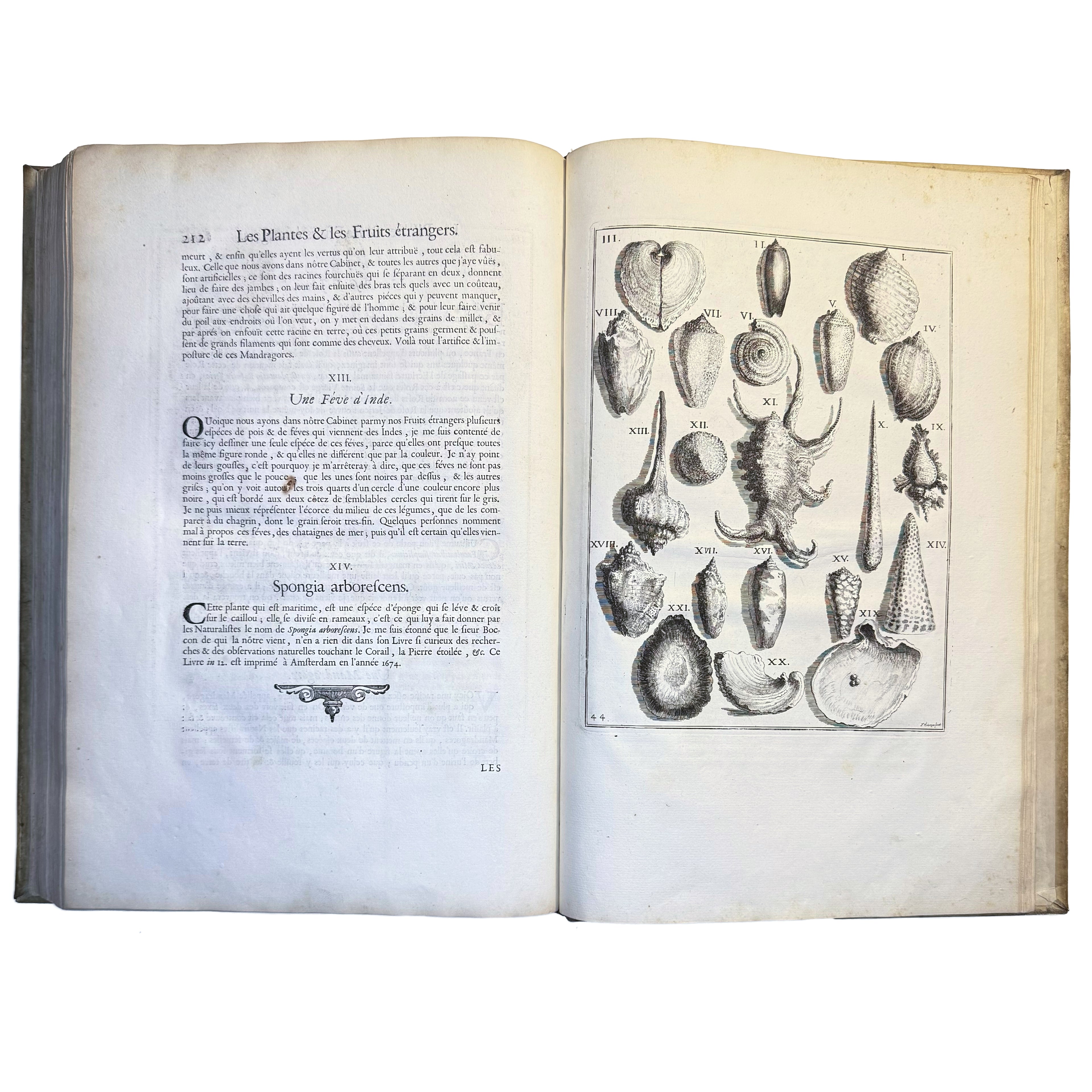 Le Cabinet de la Bibliotheque de Sainte Genevieve by Du Molinet, Claude: a rare surviving image of the 1692 illustrated & decorative piece