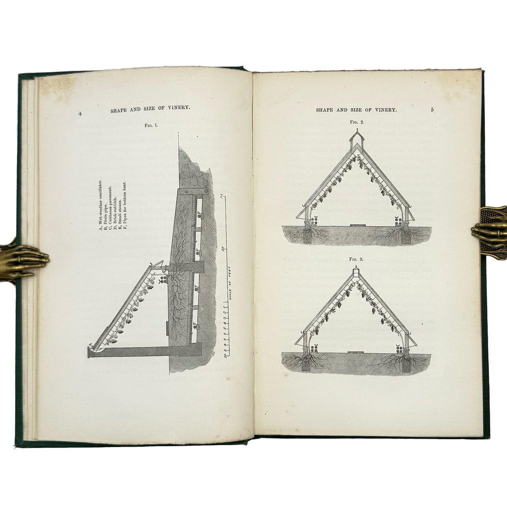 A Practical Treatise on the Cultivation of the Grape Vine by Thomson, William: a distinguished excerpt from the 1862 wine & viticulture piece