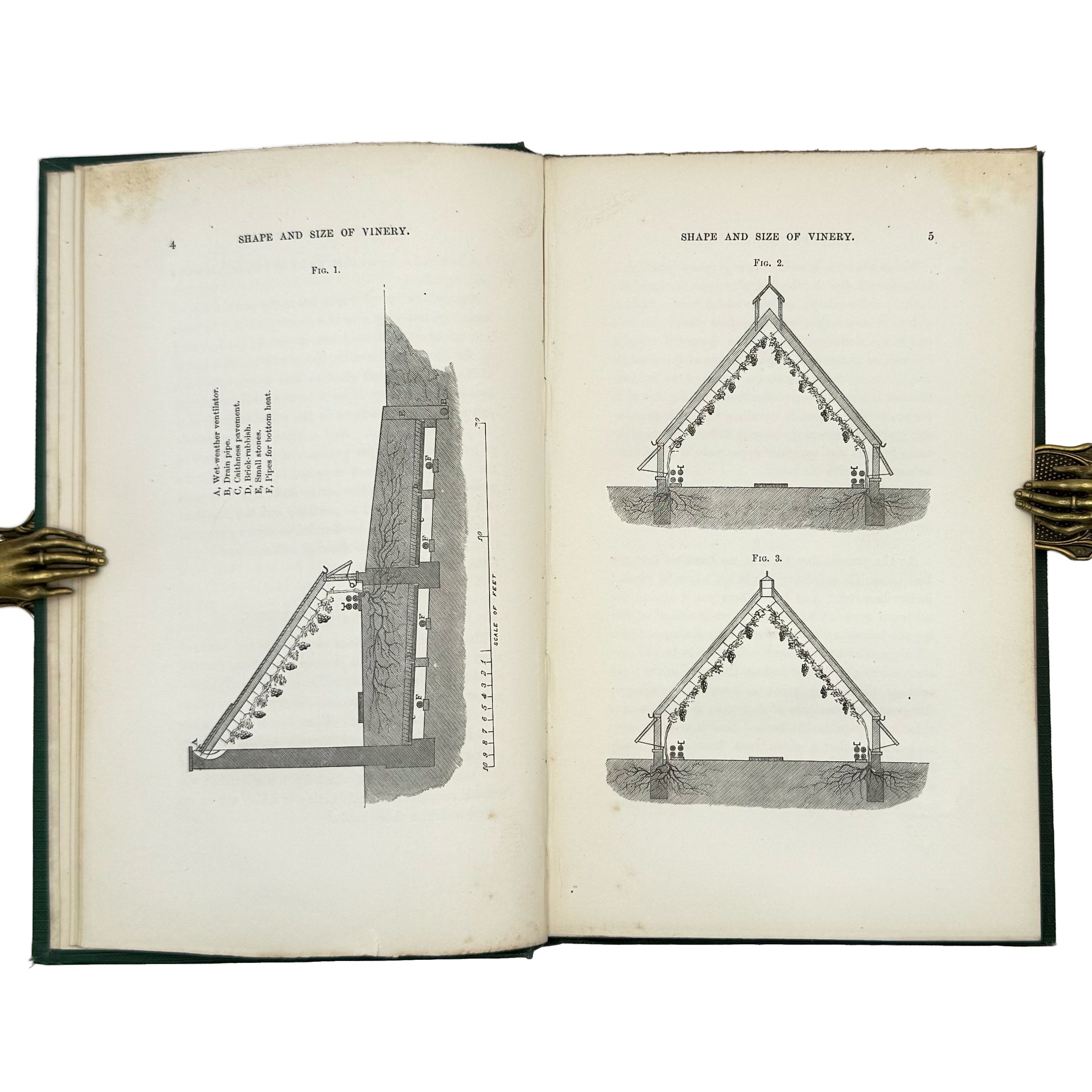 A Practical Treatise on the Cultivation of the Grape Vine by Thomson, William: a distinguished excerpt from the 1862 wine & viticulture piece