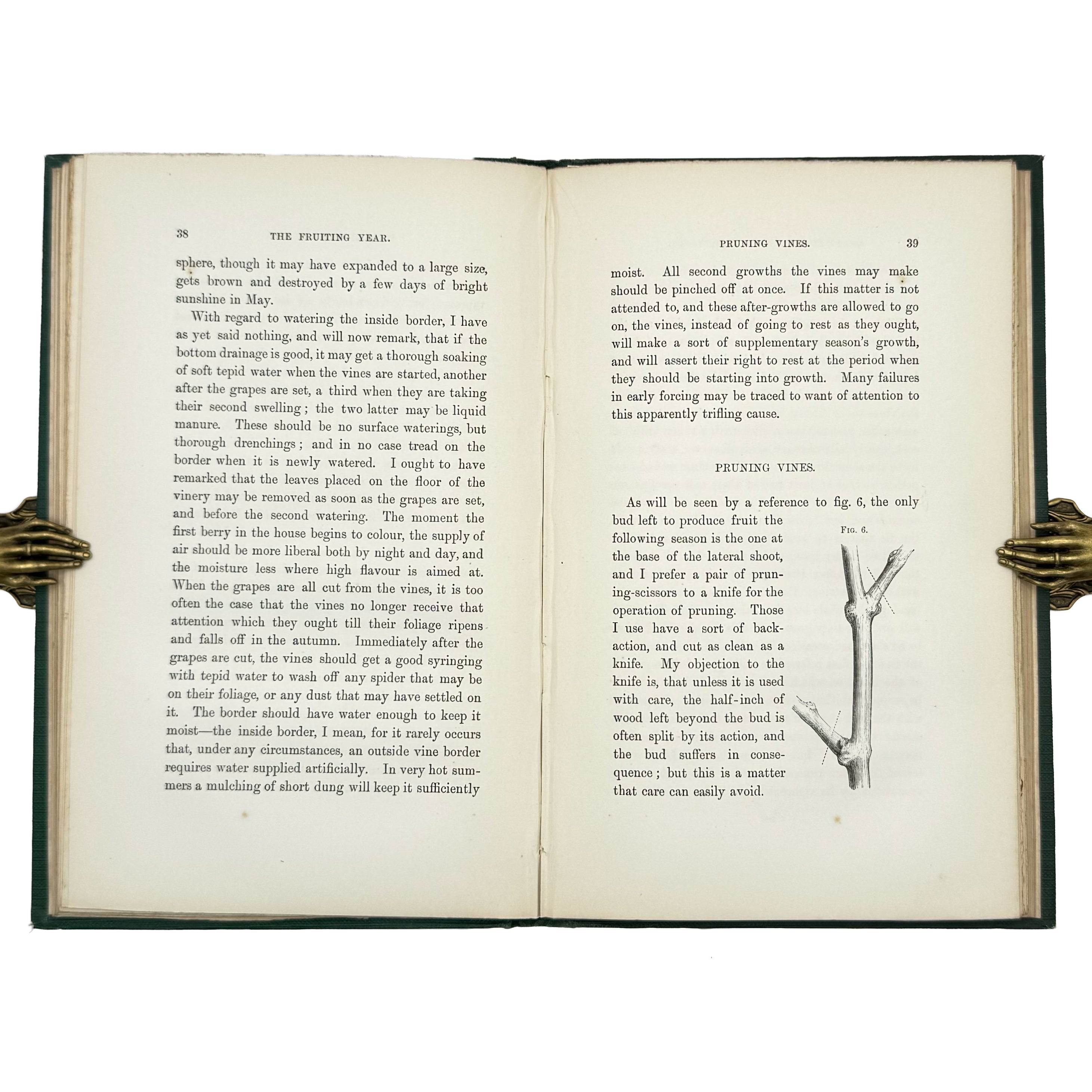 A Practical Treatise on the Cultivation of the Grape Vine by Thomson, William: a carefully chosen vignette of the 1862 wine & viticulture piece