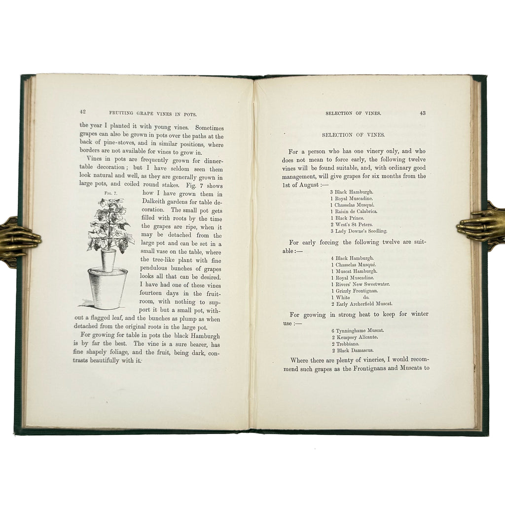 A Practical Treatise on the Cultivation of the Grape Vine by Thomson, William: a finely preserved portion of the 1862 wine & viticulture text