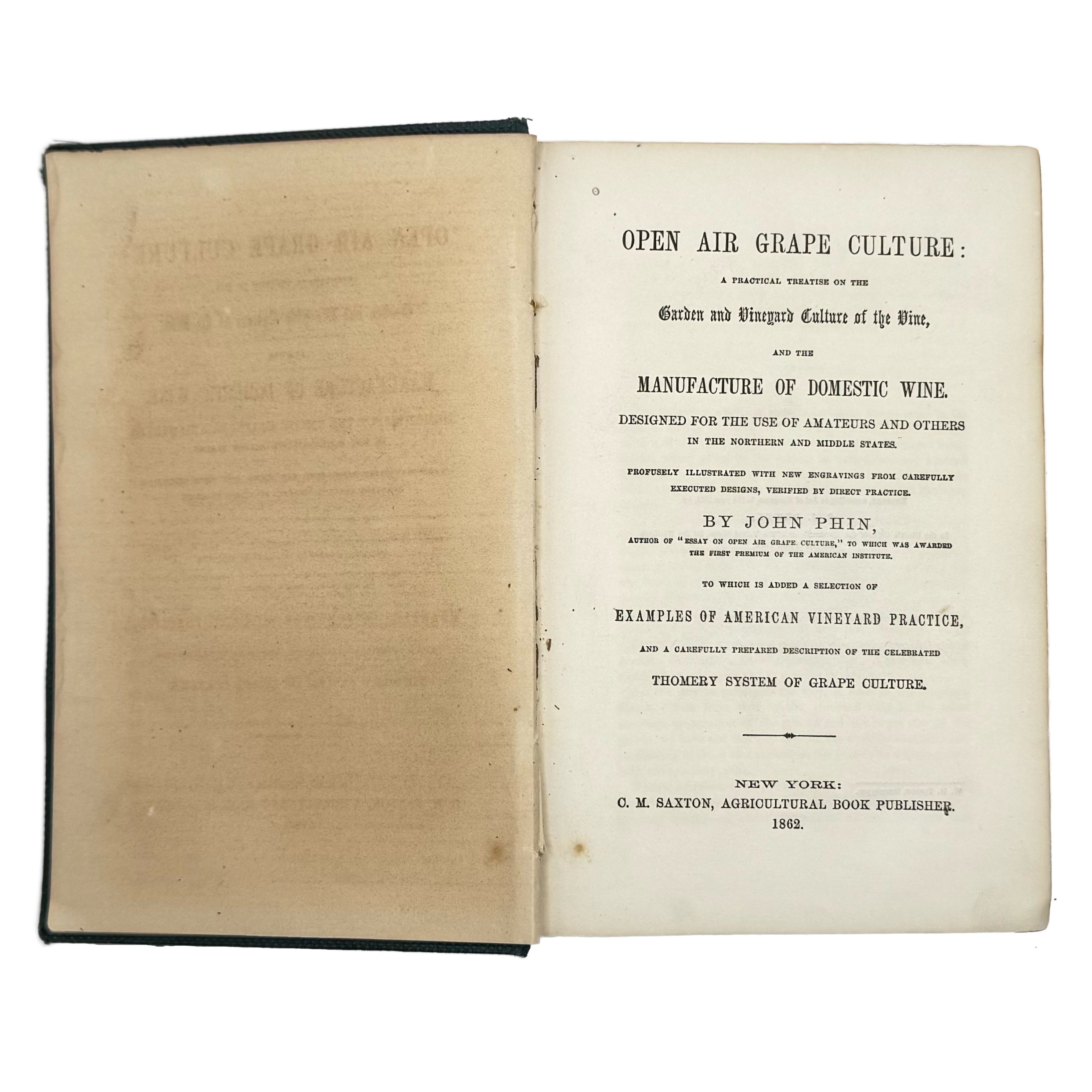 Open Air Grape Culture by Phin, John: a noteworthy detail captured from the 1862 wine & viticulture exemplar