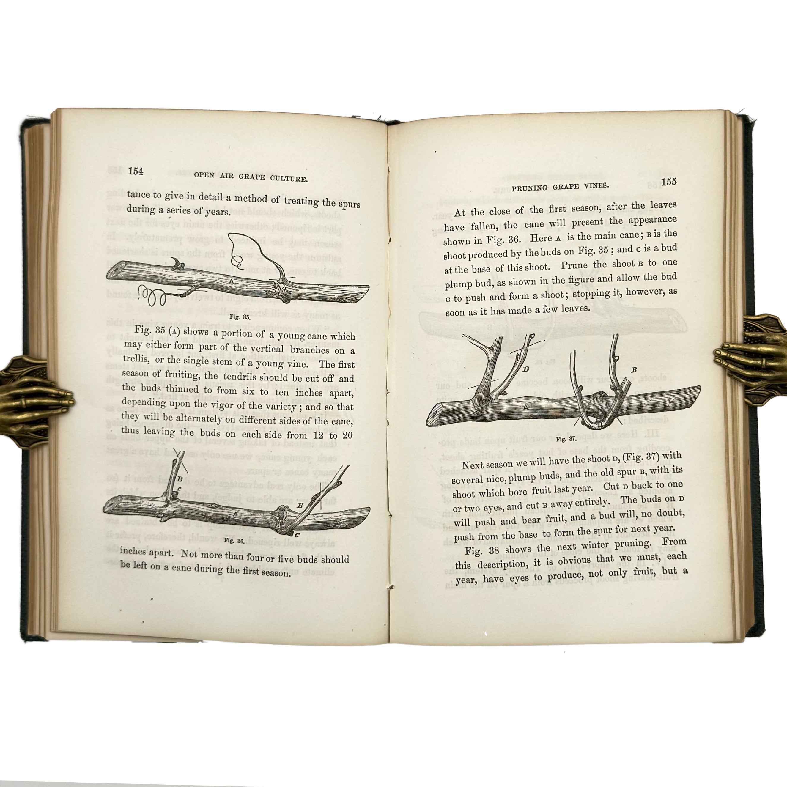 Open Air Grape Culture by Phin, John: a singularly preserved detail from the 1862 wine & viticulture edition