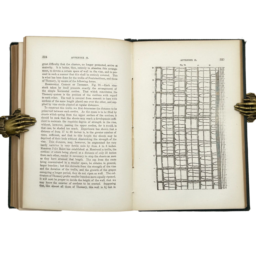 Open Air Grape Culture by Phin, John: a scarce illustrative detail of the 1862 wine & viticulture text
