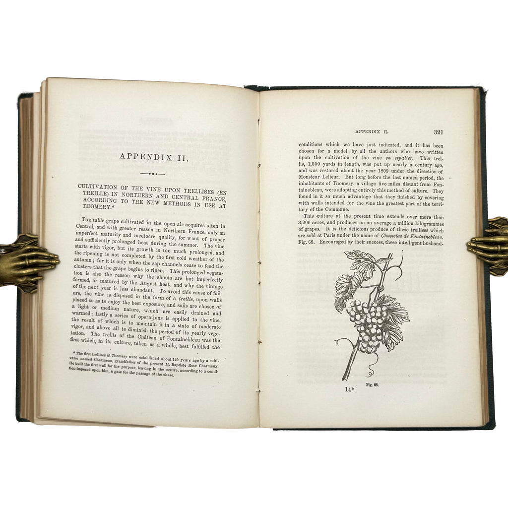 Open Air Grape Culture by Phin, John: a finely chosen detail from the 1862 wine & viticulture exemplar