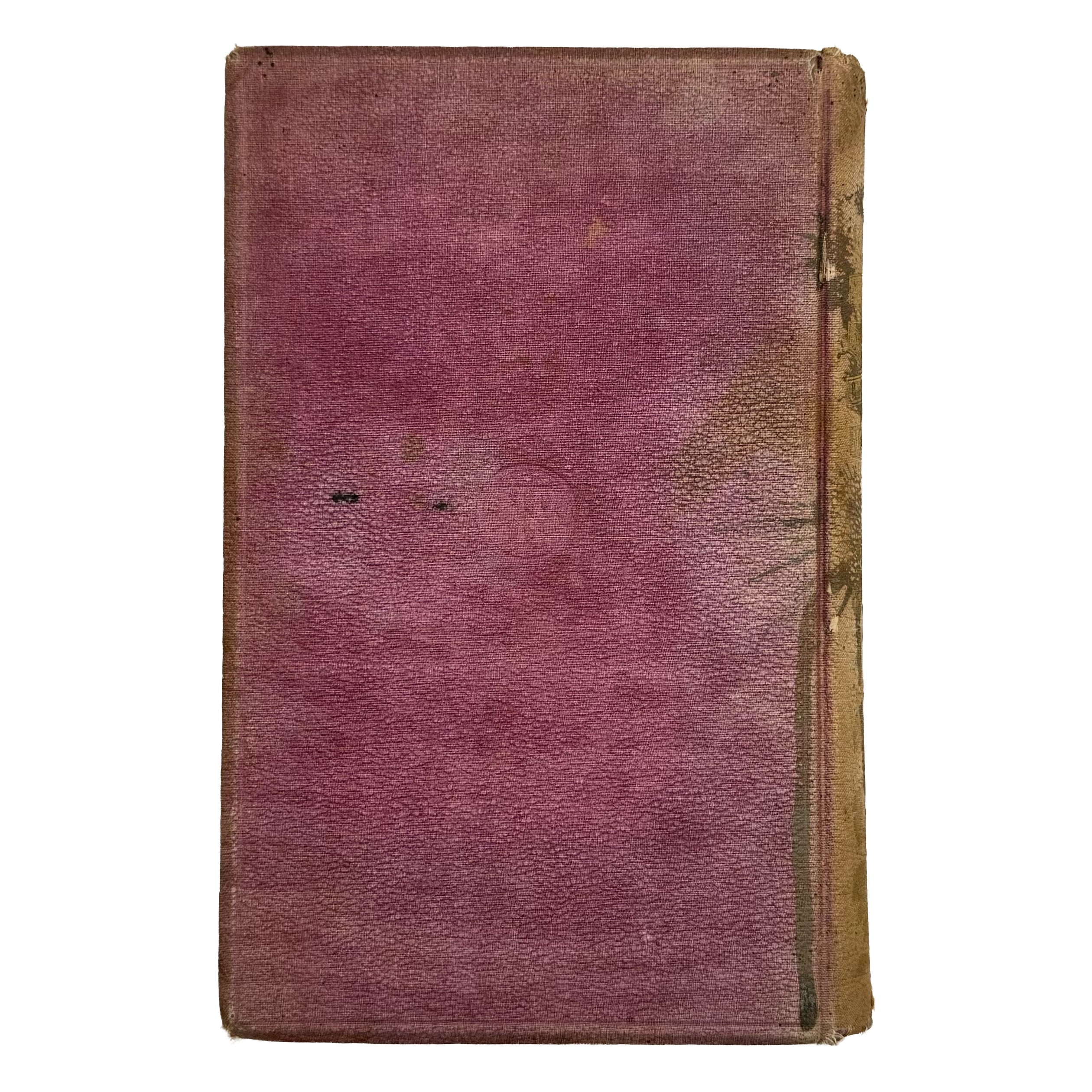 An Elementary Treatise On American Grape Culture And Wine Making by Mead, Peter B.: a singularly preserved detail from the 1867 wine & viticulture treatise