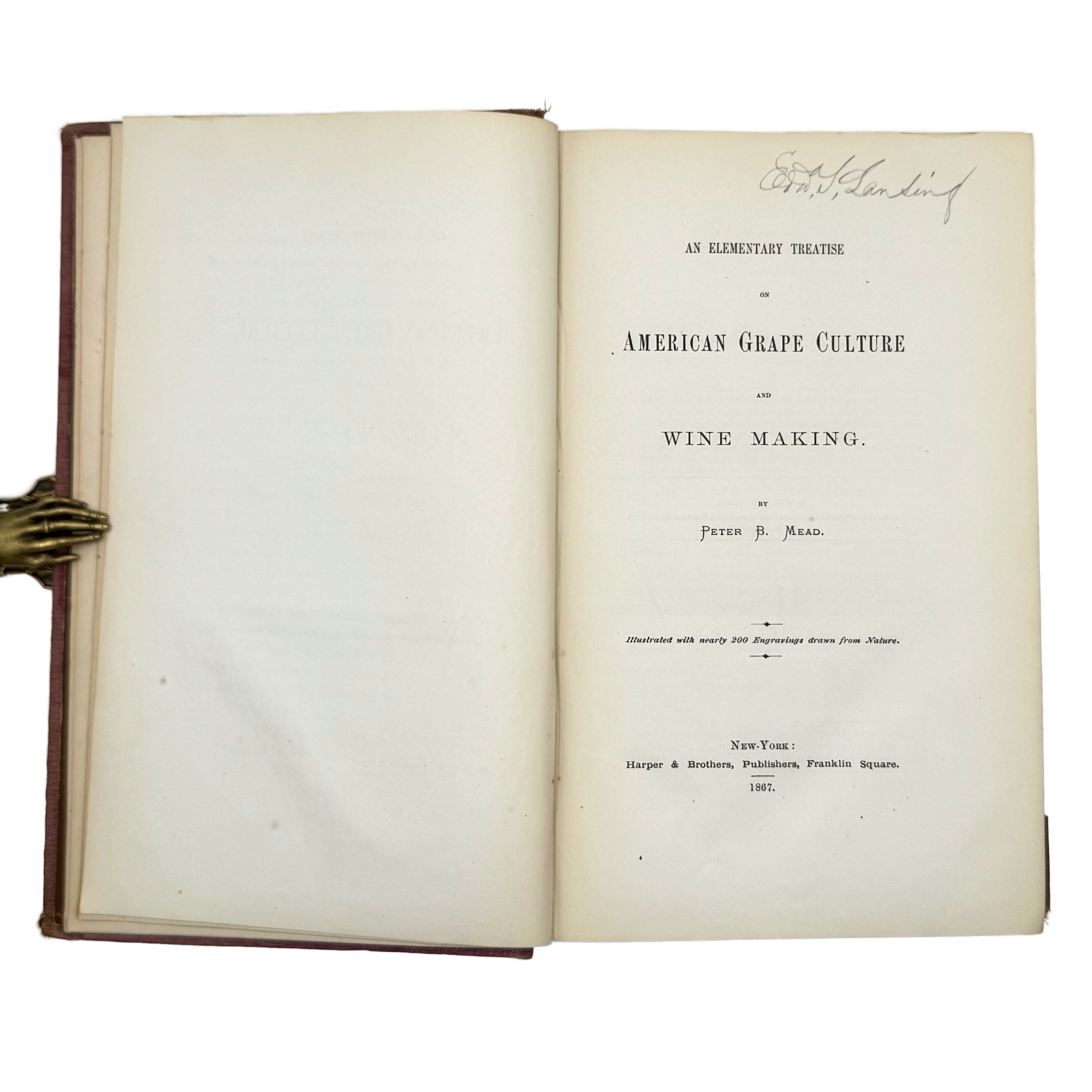 An Elementary Treatise On American Grape Culture And Wine Making by Mead, Peter B.: a carefully chosen vignette of the 1867 wine & viticulture text